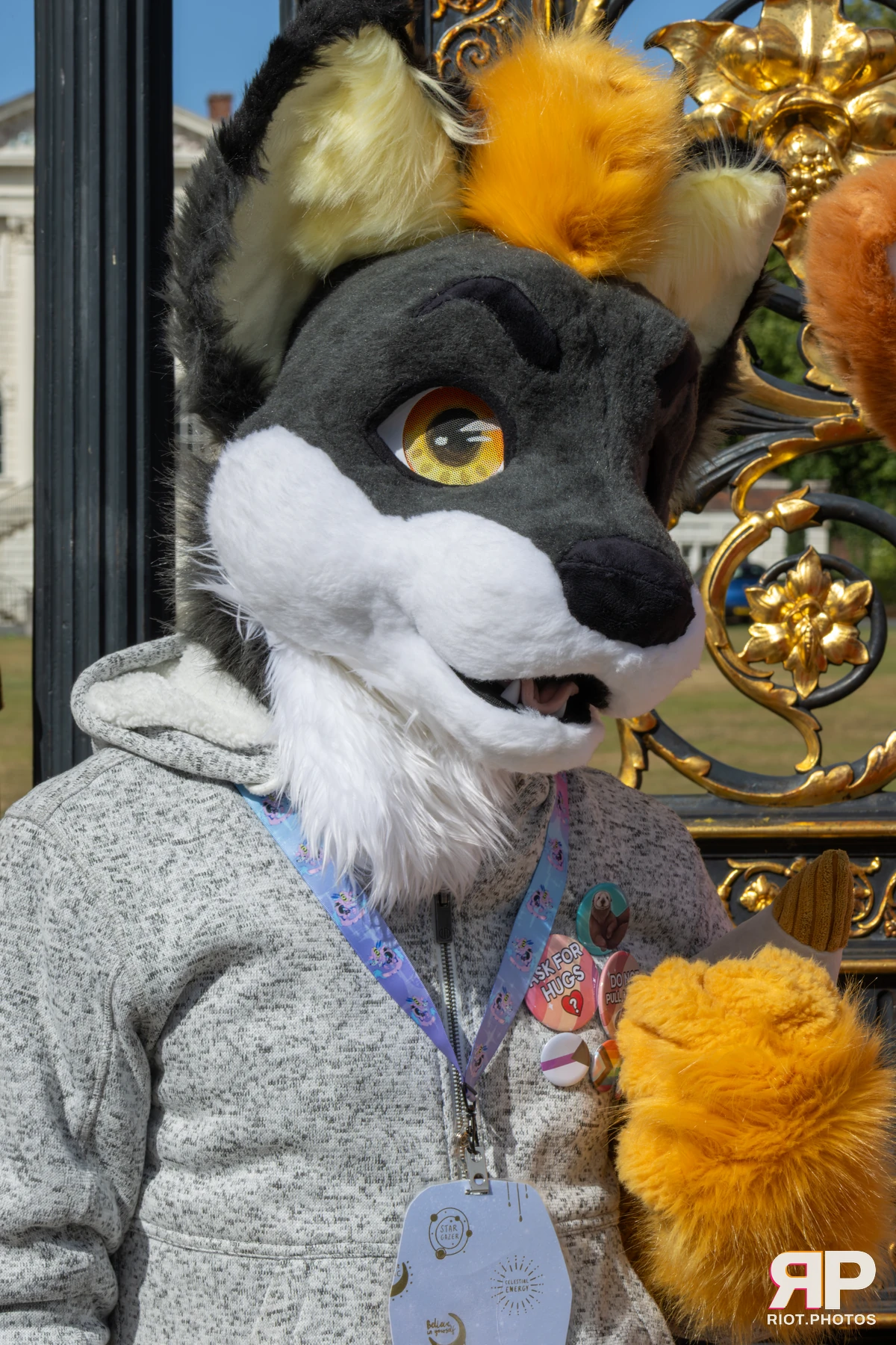 WarringtonFurs - August, 2025 — 31 Aug 2025, Fluffy Riot photography — photo 21
