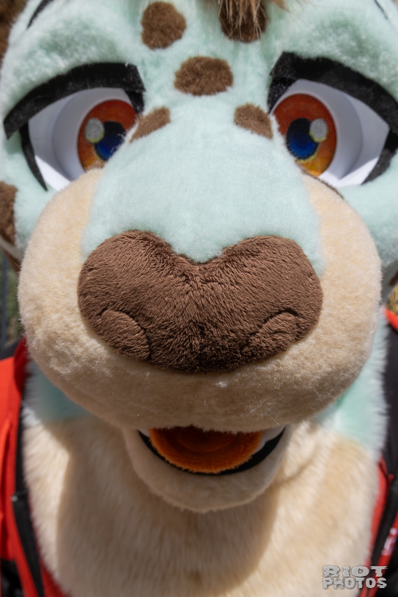 2025-08-31 WarringtonFurs-023.jpg
