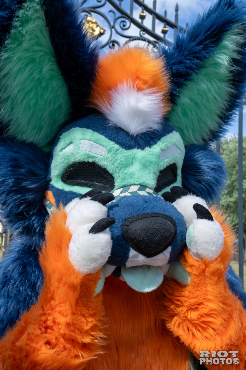 2025-08-31 WarringtonFurs-024.jpg