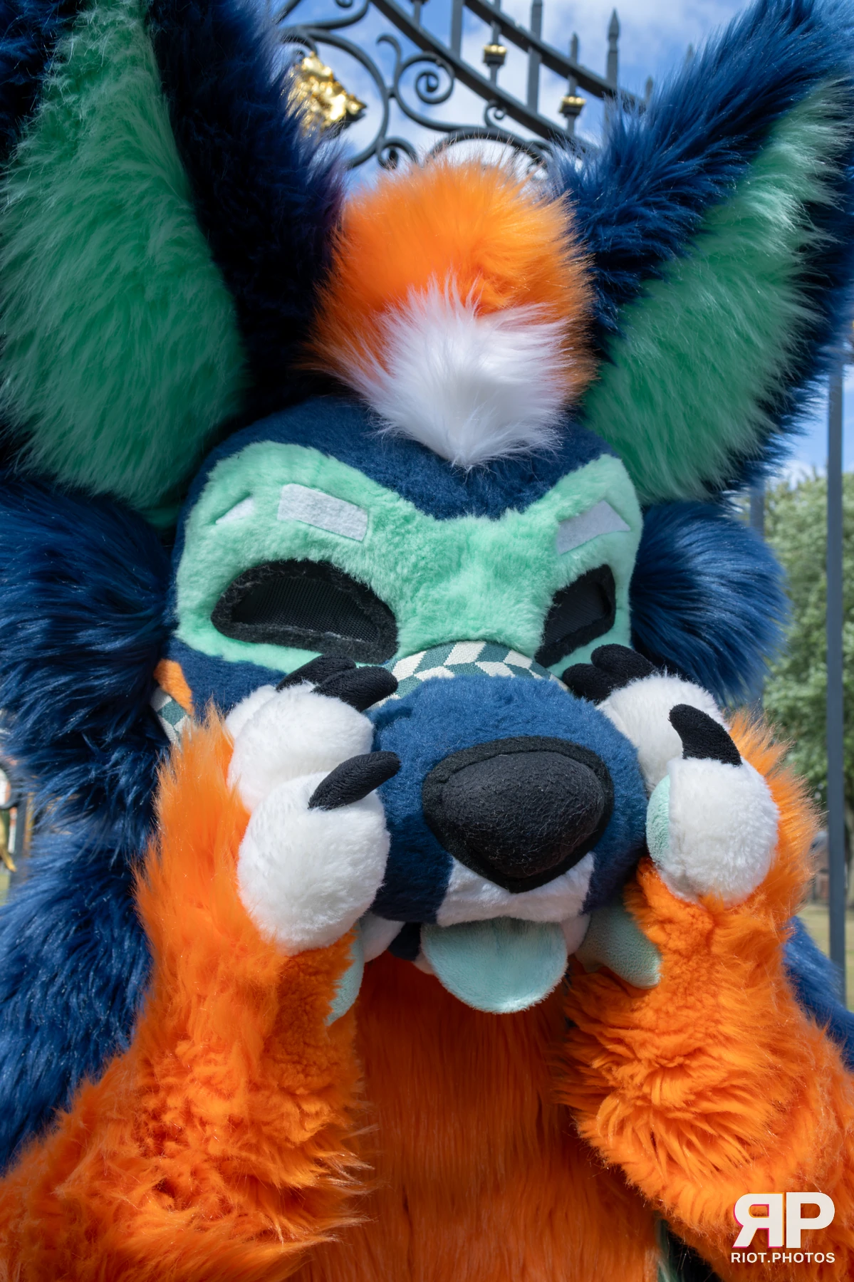 WarringtonFurs - August, 2025 — 31 Aug 2025, Fluffy Riot photography — photo 24