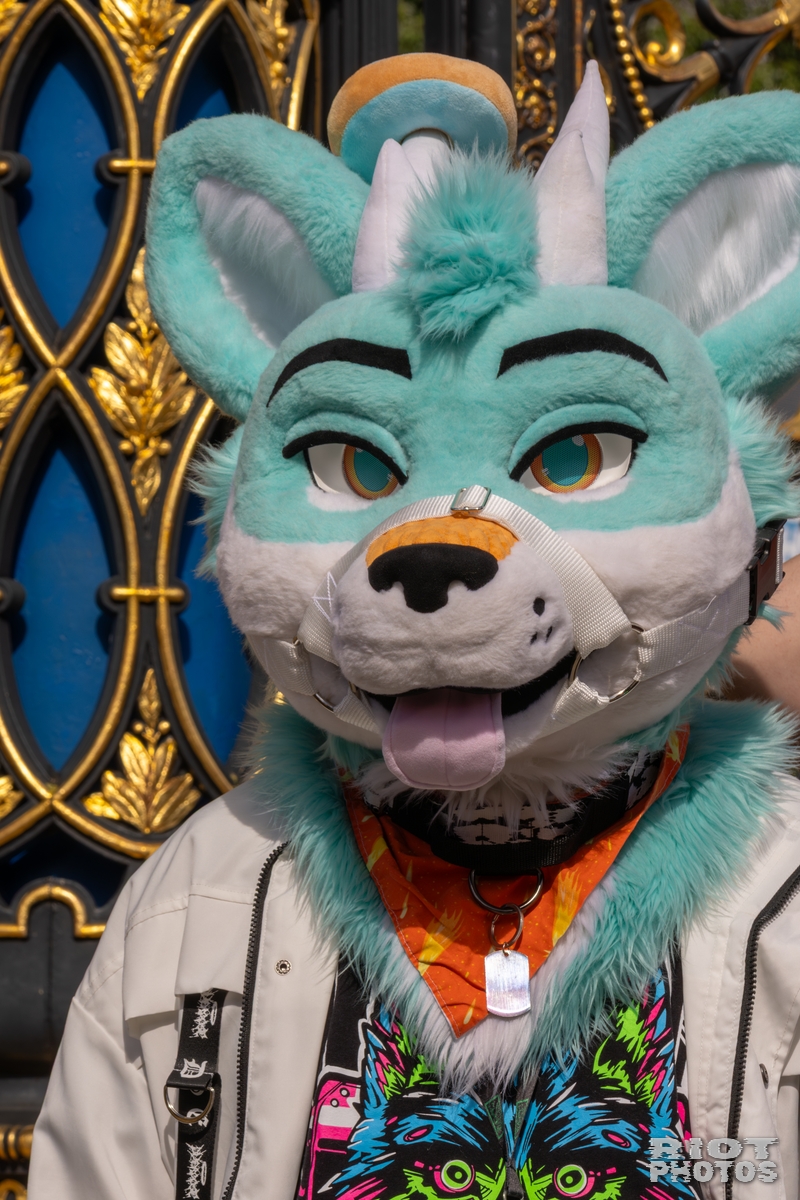 2025-08-31 WarringtonFurs-027.jpg