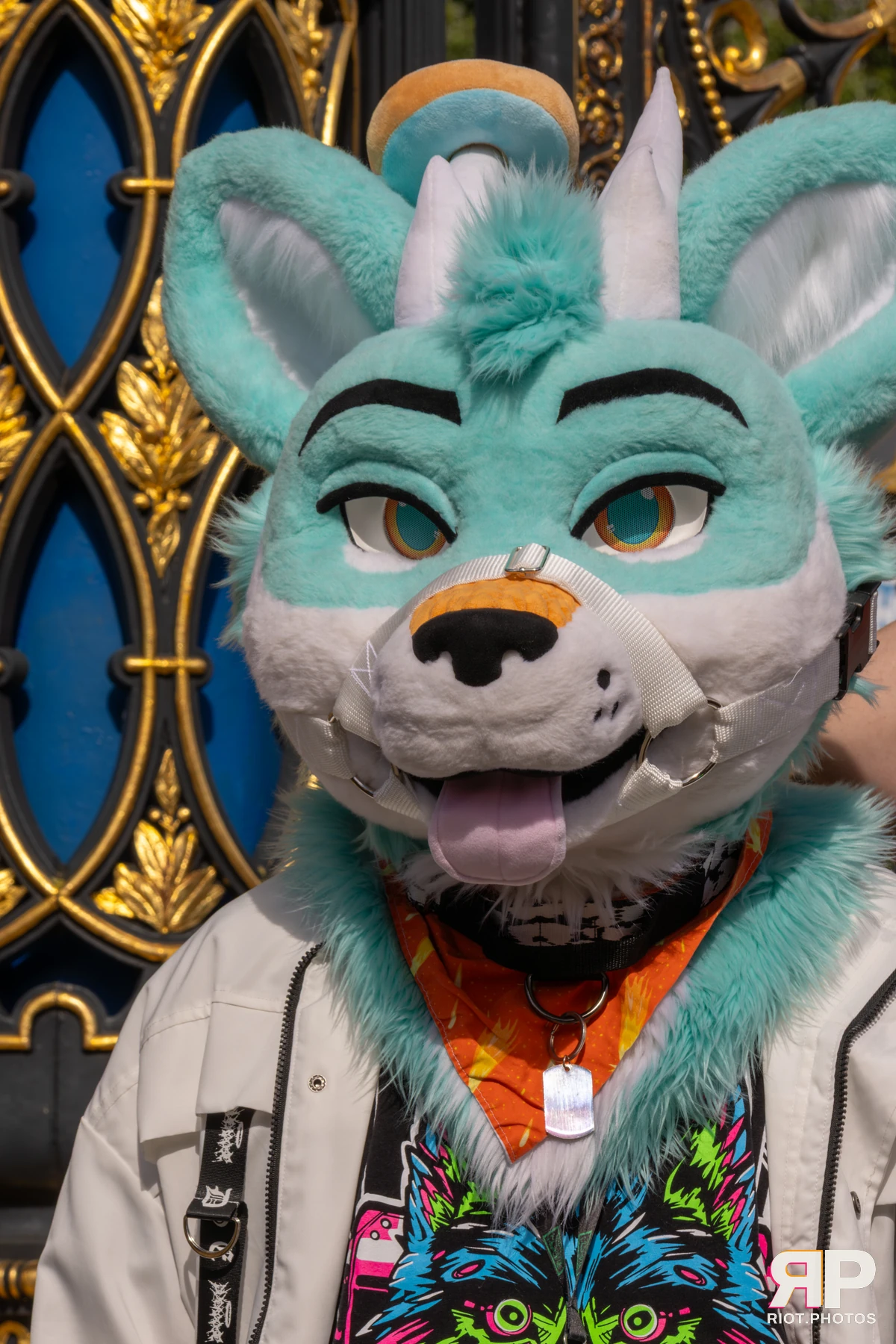 WarringtonFurs - August, 2025 — 31 Aug 2025, Fluffy Riot photography — photo 27