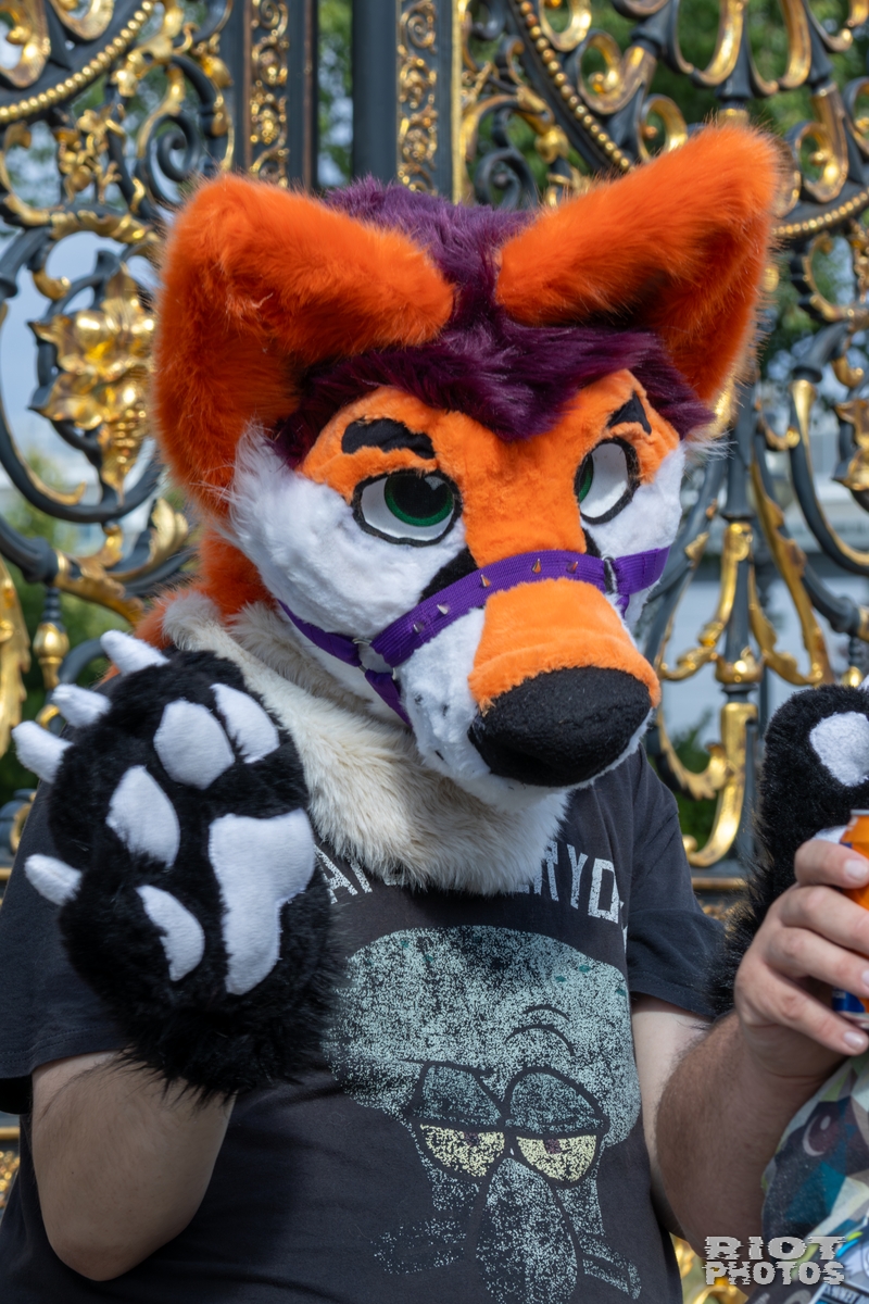 2025-08-31 WarringtonFurs-028.jpg
