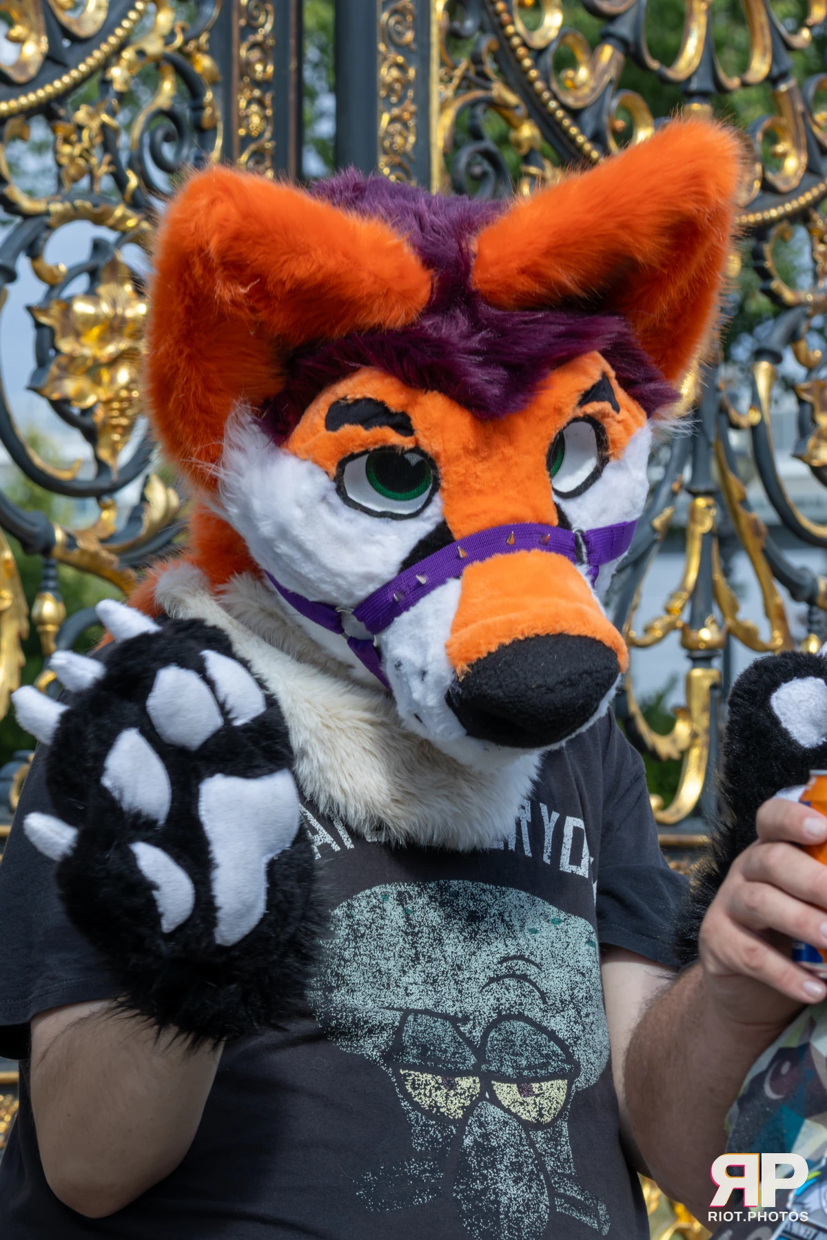 WarringtonFurs - August, 2025 — 31 Aug 2025, Fluffy Riot photography — photo 28
