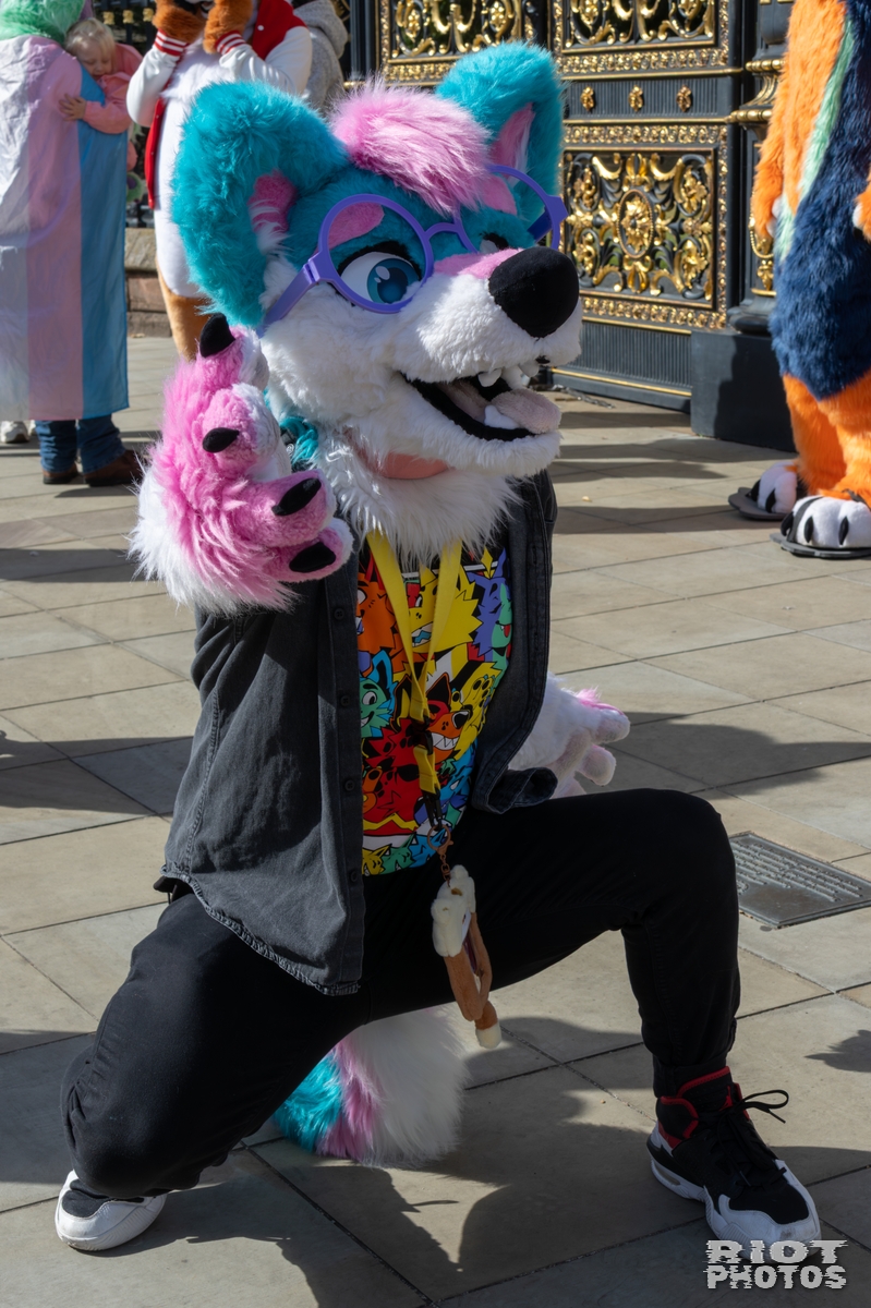 2025-08-31 WarringtonFurs-029.jpg