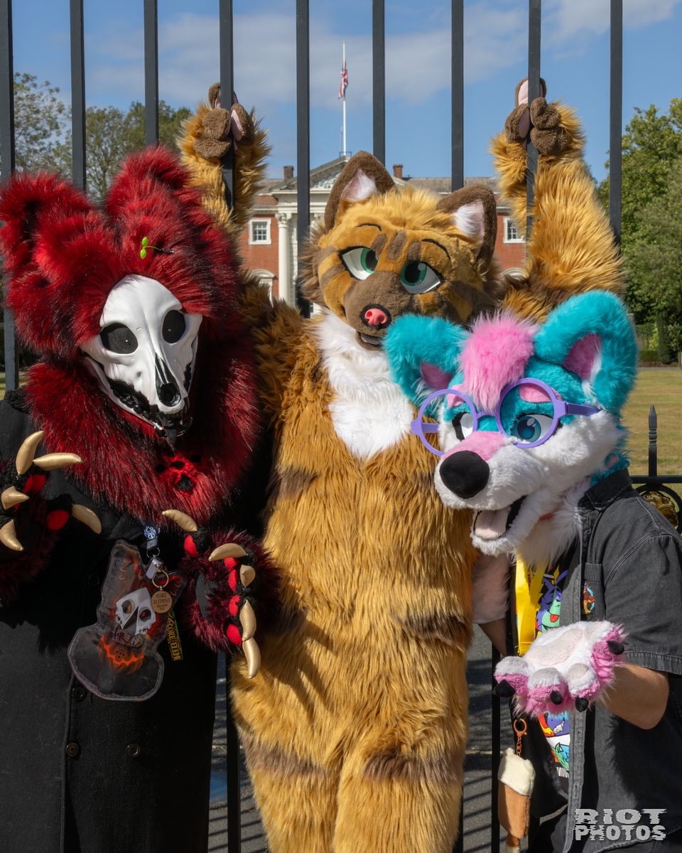 2025-08-31 WarringtonFurs-031.jpg