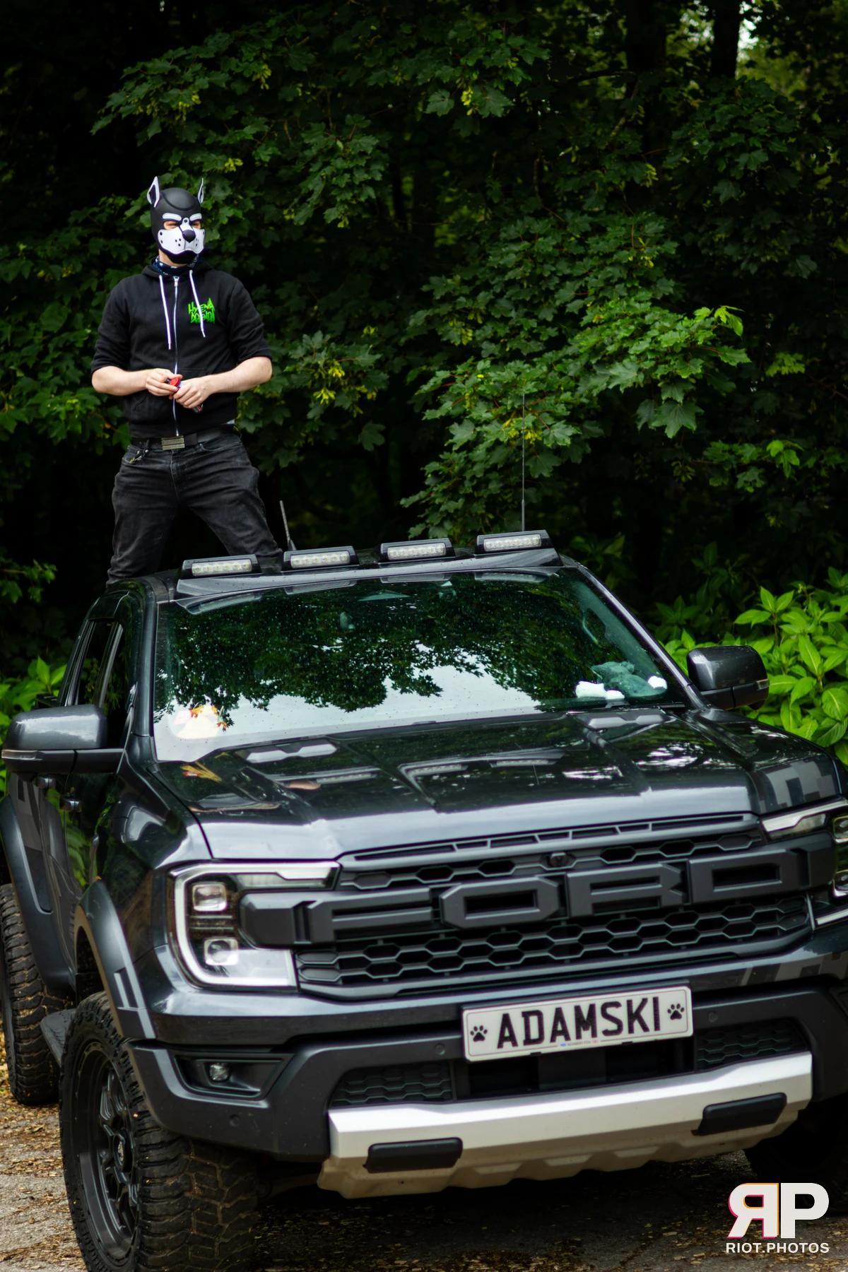 Adamski Fox — furry & pup photography by Fluffy Riot — photo 1