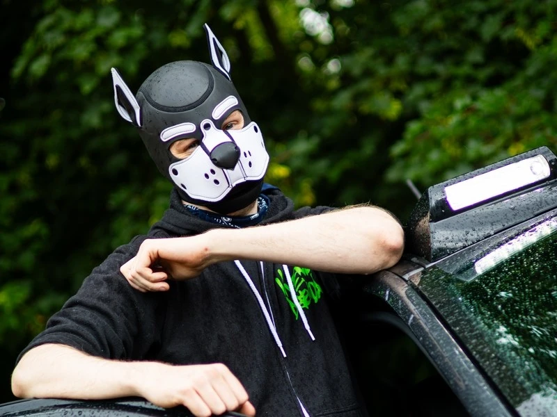 Adamski Fox