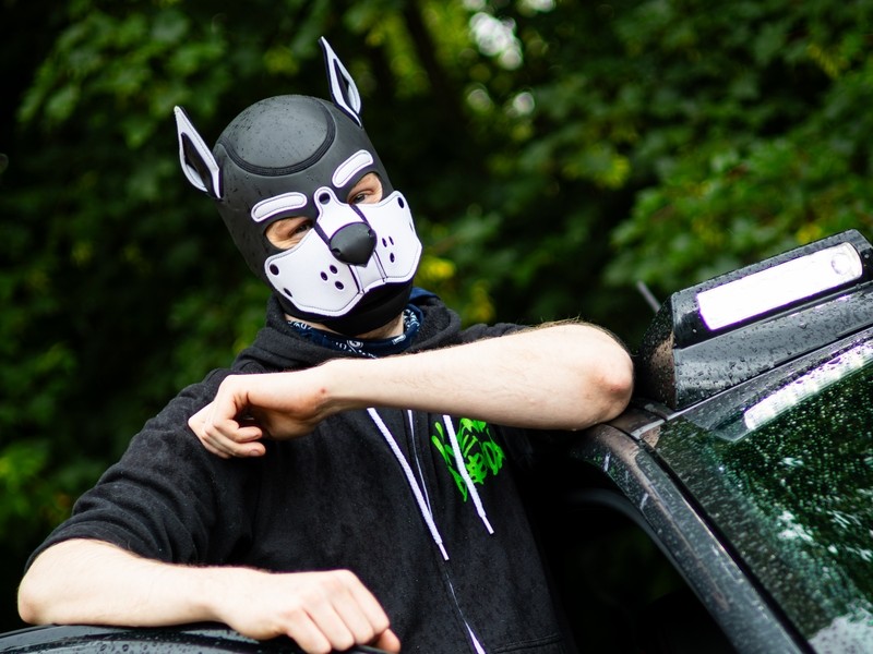 Adamski Fox
