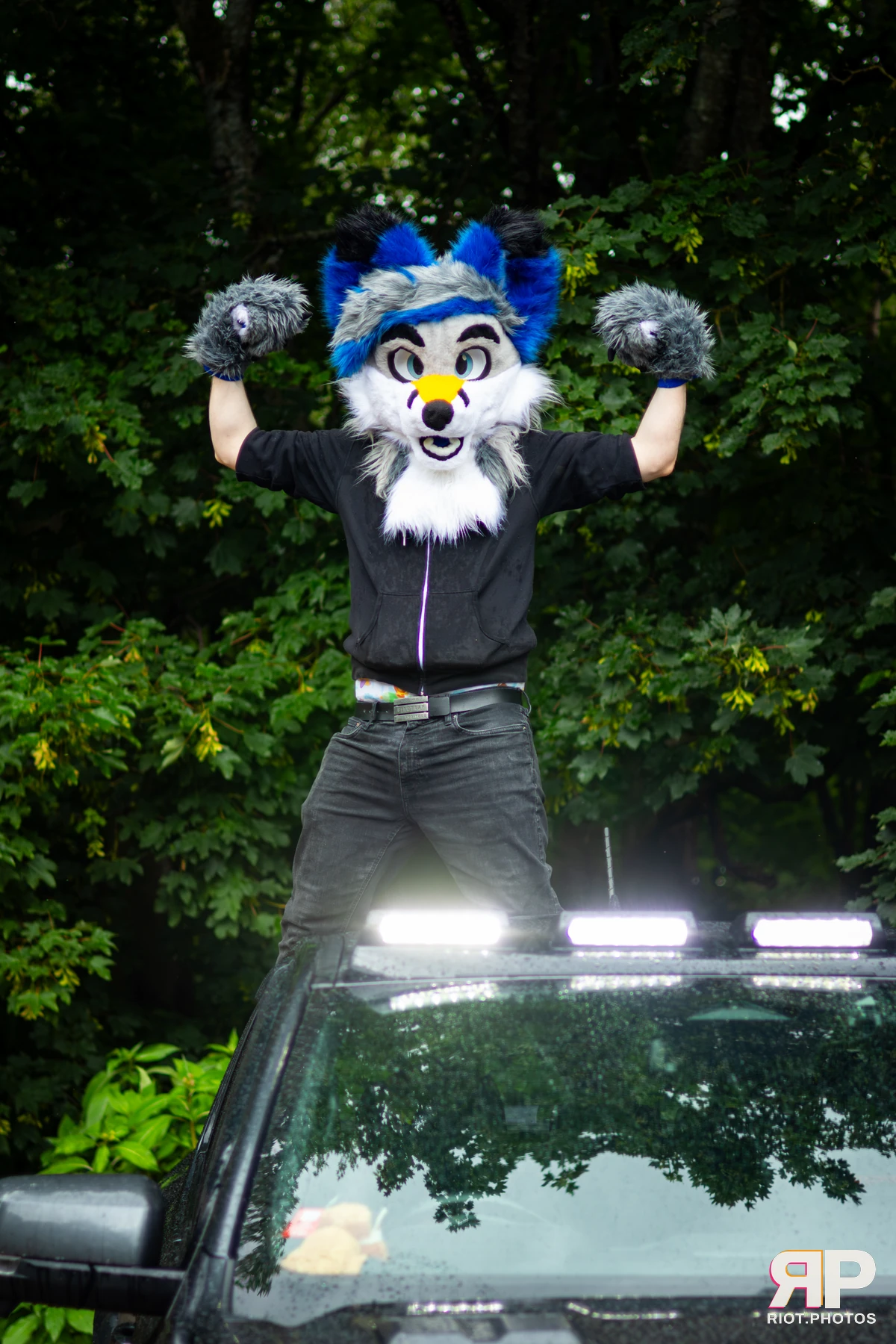 Adamski Fox — furry & pup photography by Fluffy Riot — photo 10