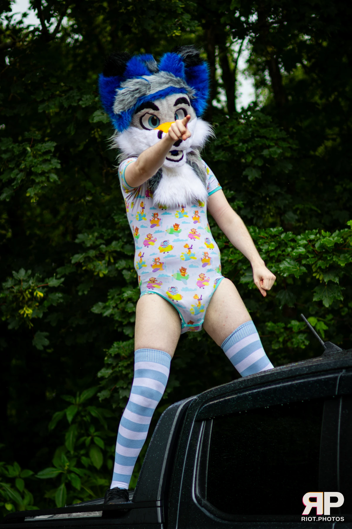 Adamski Fox — furry & pup photography by Fluffy Riot — photo 11