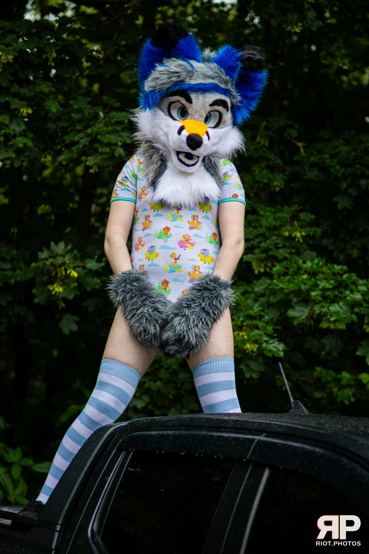 Adamski Fox — furry & pup photography by Fluffy Riot — photo 12