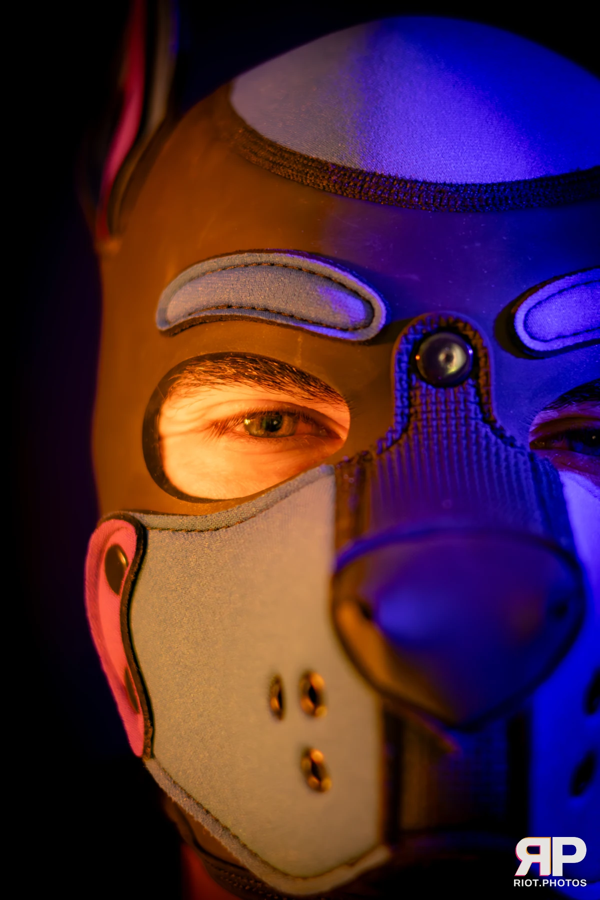 Alex Apollo — furry & pup photography by Fluffy Riot — photo 43