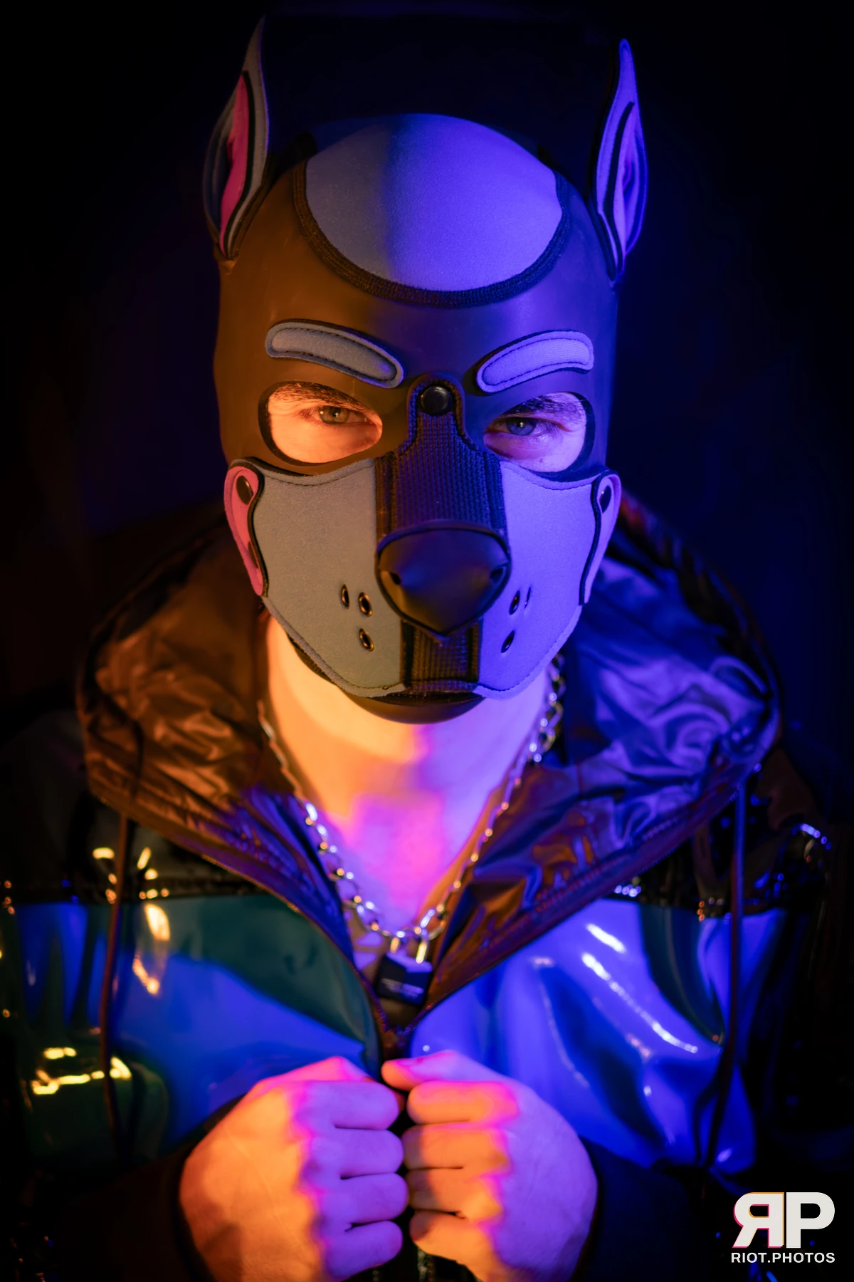 Alex Apollo — furry & pup photography by Fluffy Riot — photo 44