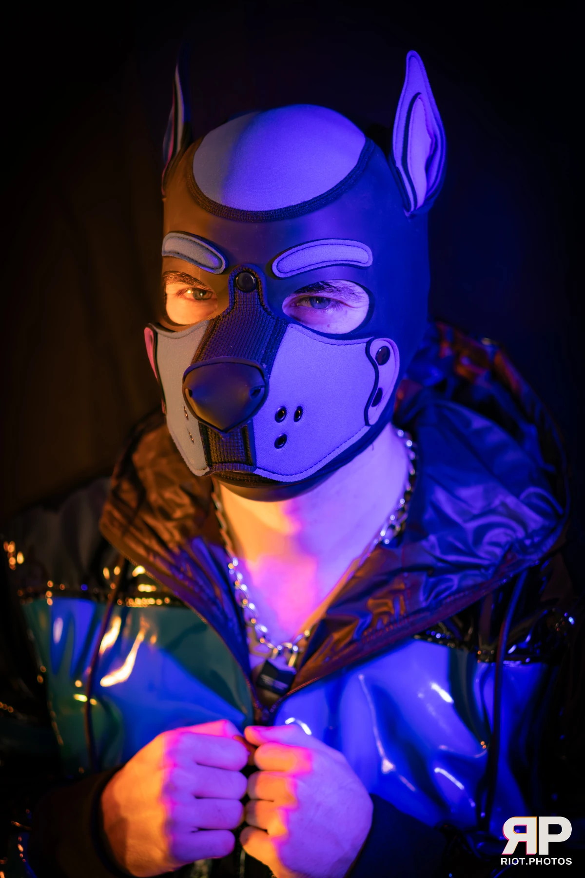 Alex Apollo — furry & pup photography by Fluffy Riot — photo 45