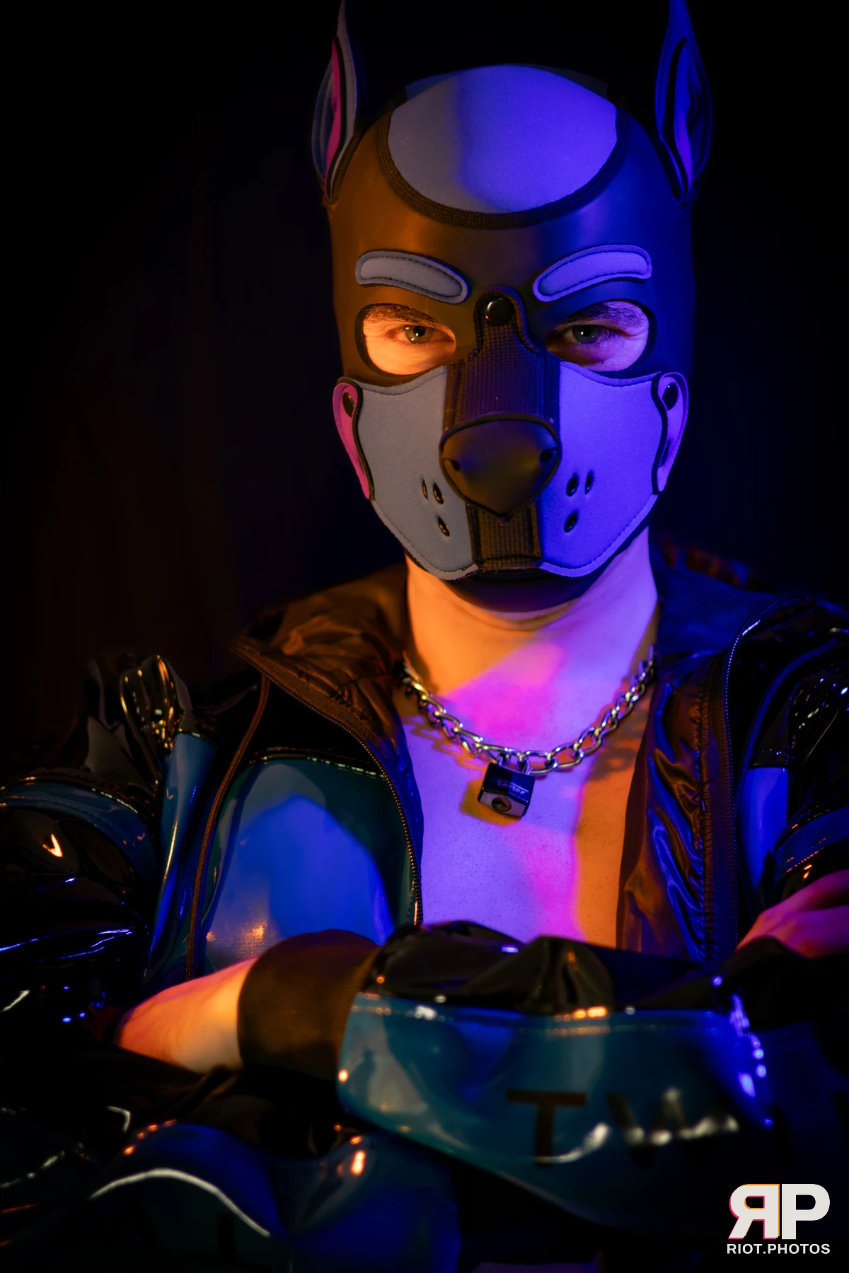 Alex Apollo — furry & pup photography by Fluffy Riot — photo 50