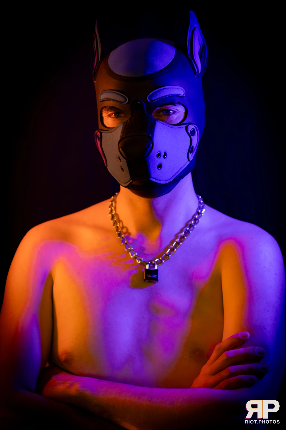 Alex Apollo — furry & pup photography by Fluffy Riot — photo 63