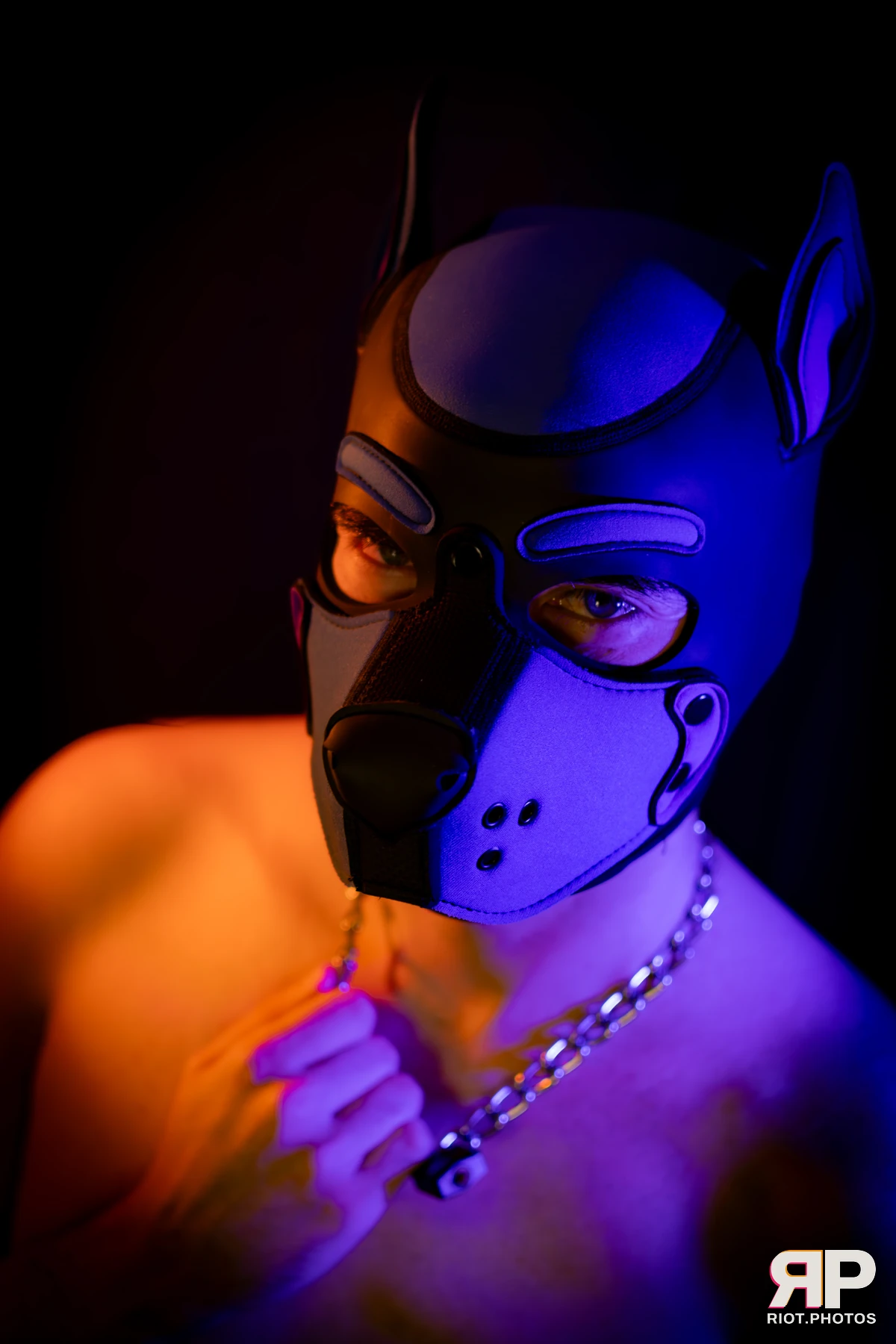 Alex Apollo — furry & pup photography by Fluffy Riot — photo 64