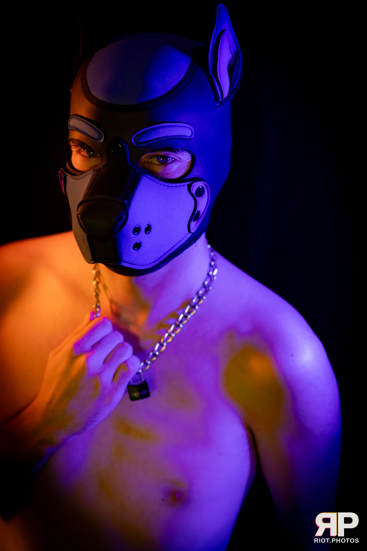 Alex Apollo — furry & pup photography by Fluffy Riot — photo 65