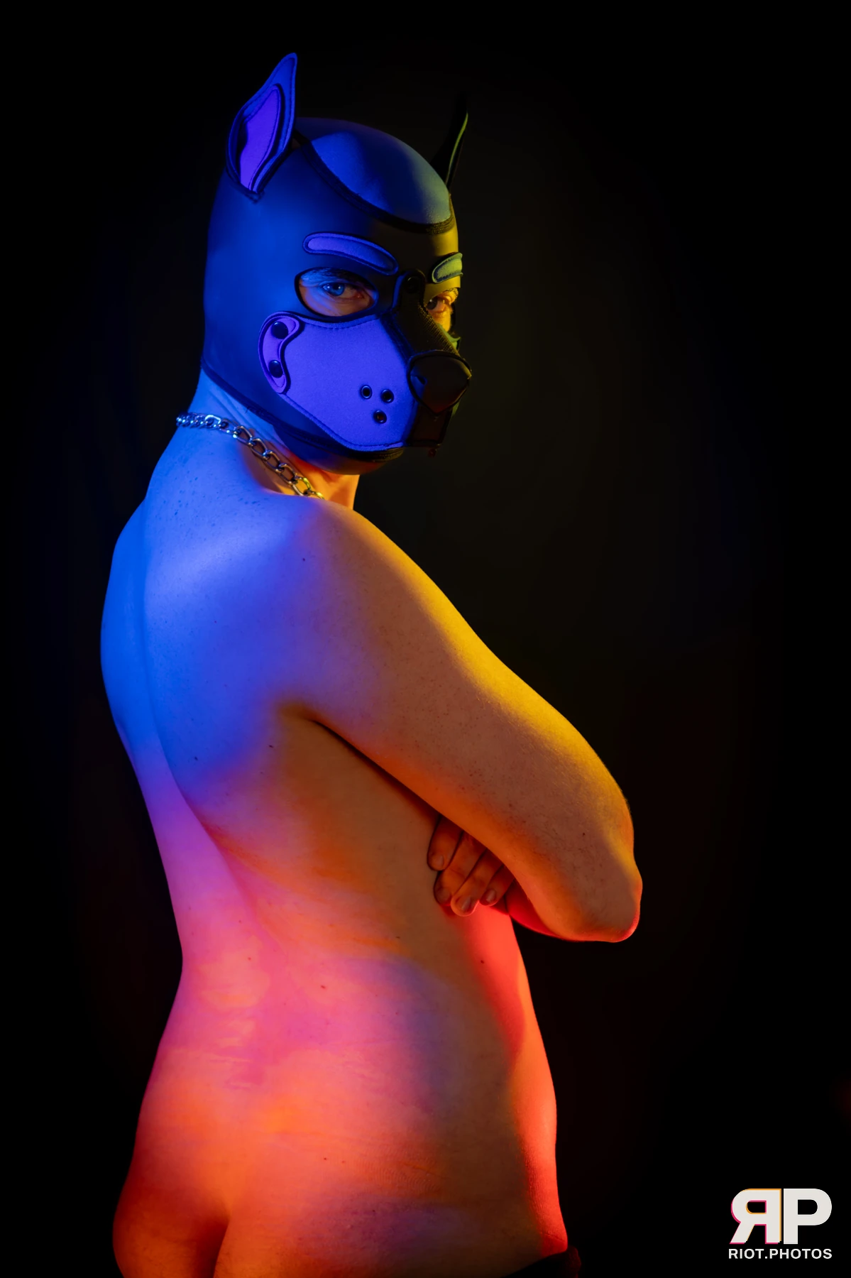 Alex Apollo — furry & pup photography by Fluffy Riot — photo 70
