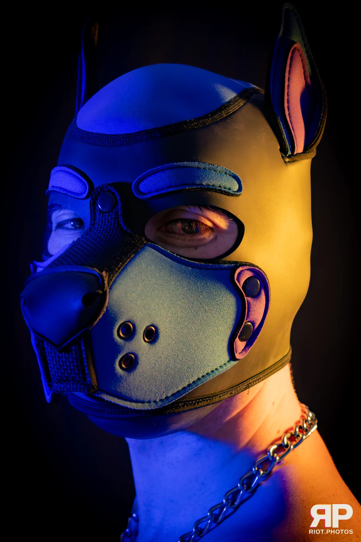 Alex Apollo — furry & pup photography by Fluffy Riot — photo 103