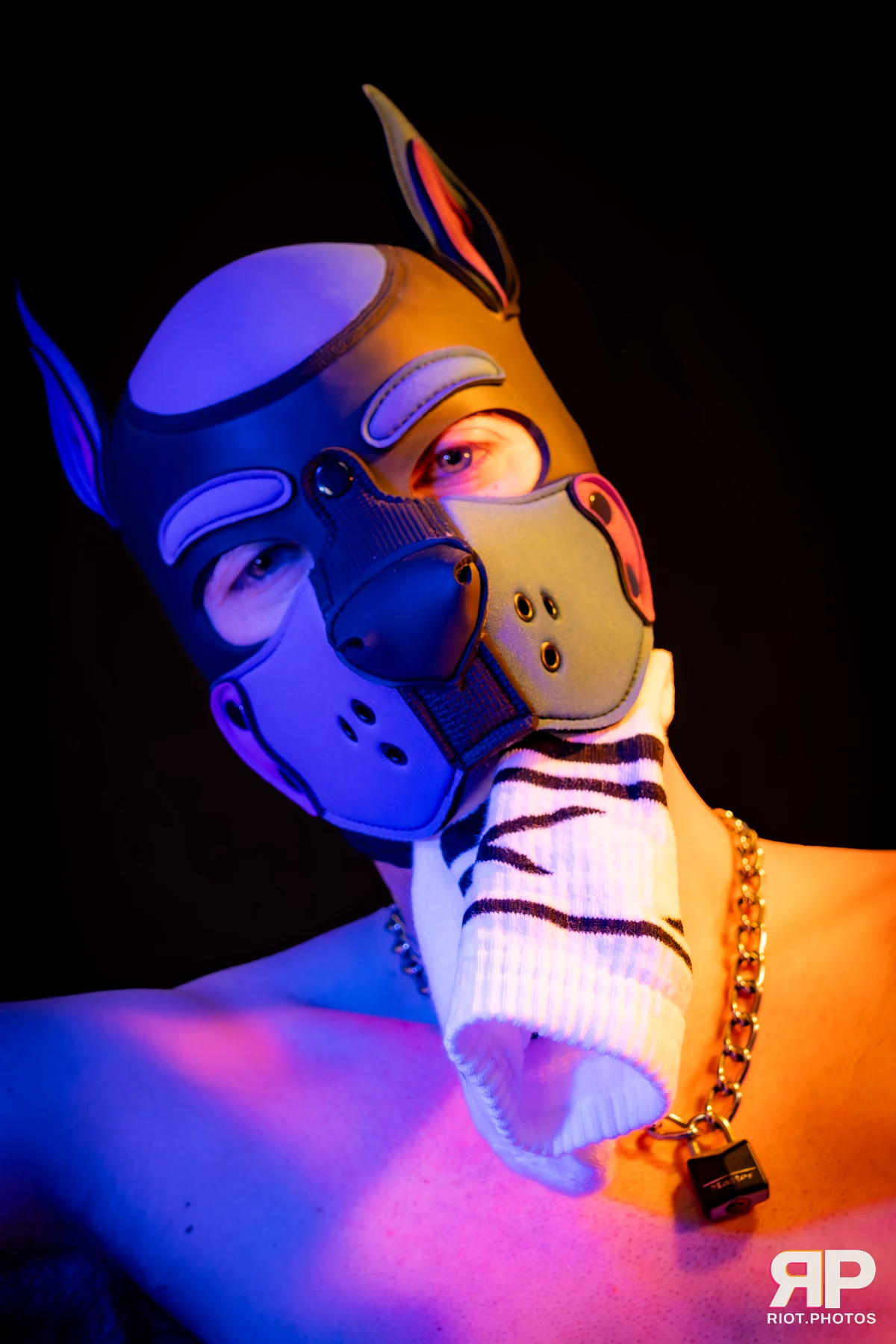 Alex Apollo — furry & pup photography by Fluffy Riot — photo 109