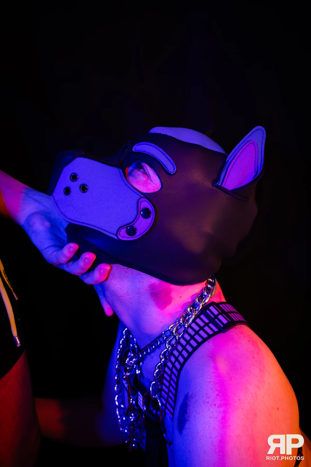 Alex Apollo — furry & pup photography by Fluffy Riot — photo 1