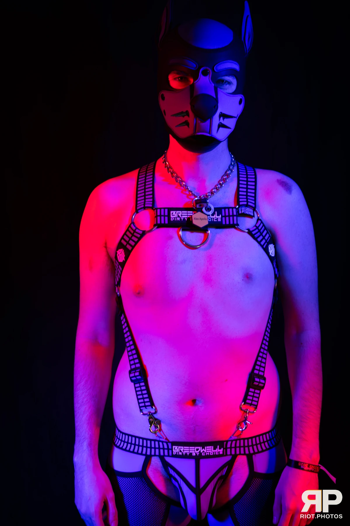Alex Apollo — furry & pup photography by Fluffy Riot — photo 2