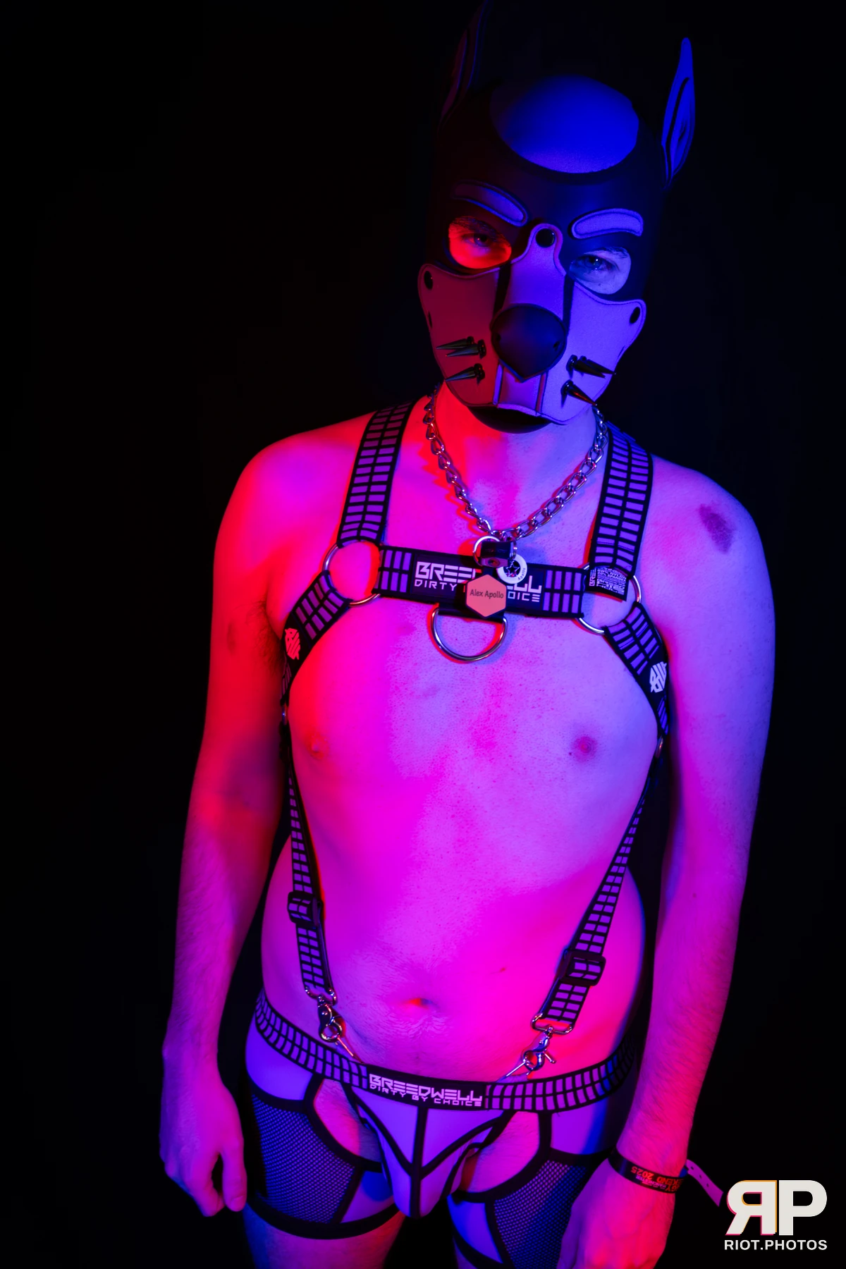 Alex Apollo — furry & pup photography by Fluffy Riot — photo 3