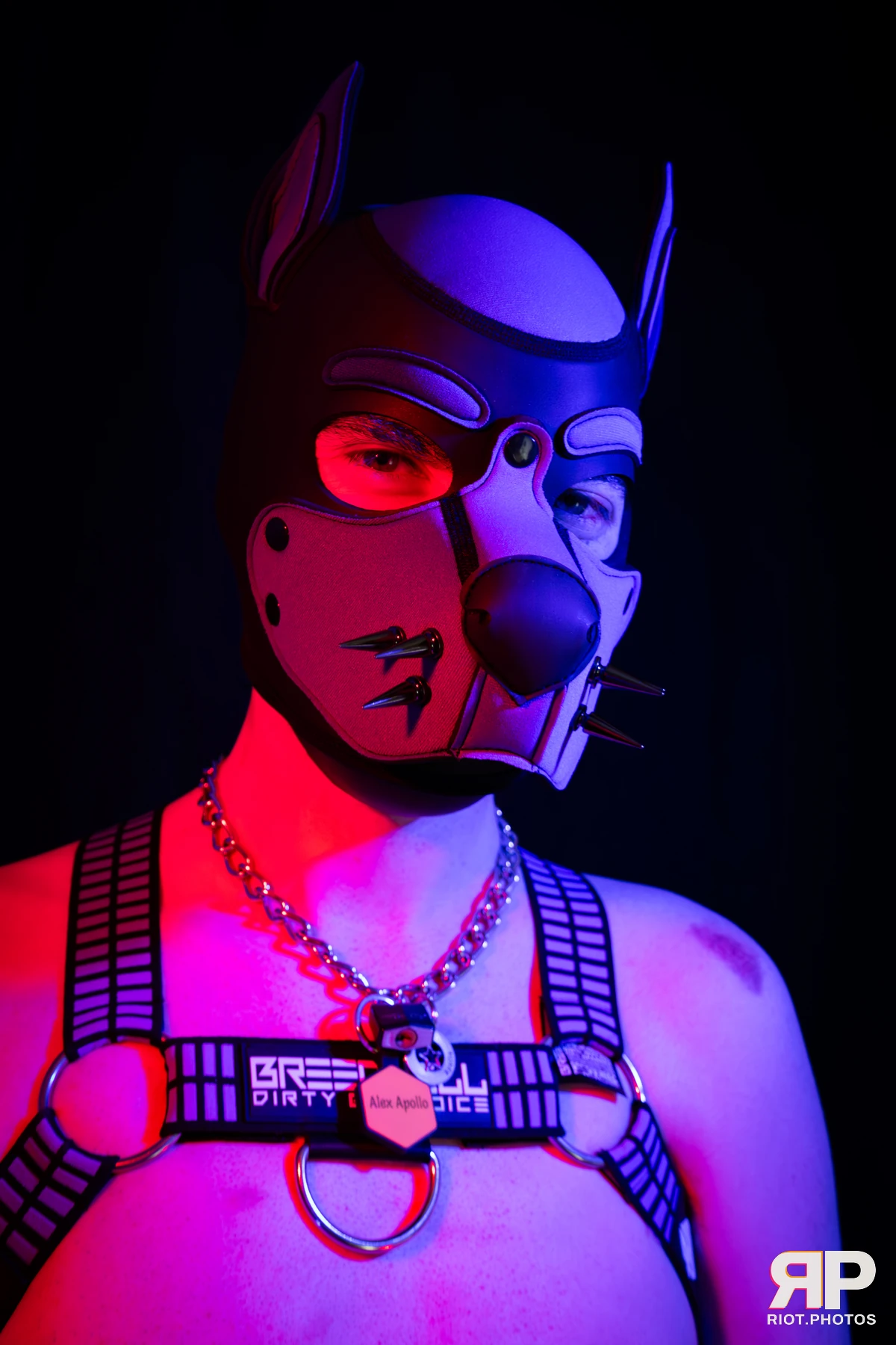 Alex Apollo — furry & pup photography by Fluffy Riot — photo 4
