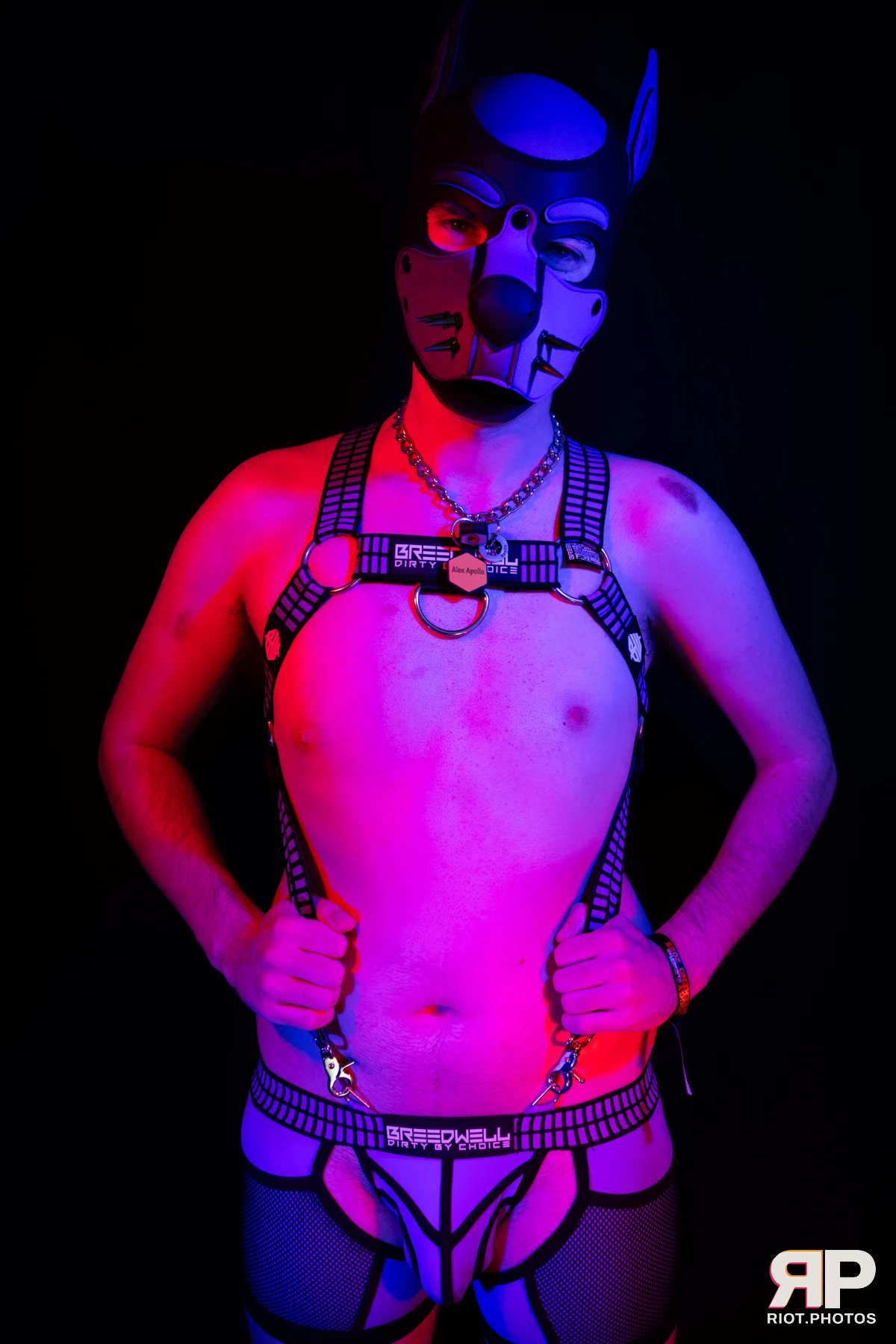Alex Apollo — furry & pup photography by Fluffy Riot — photo 5