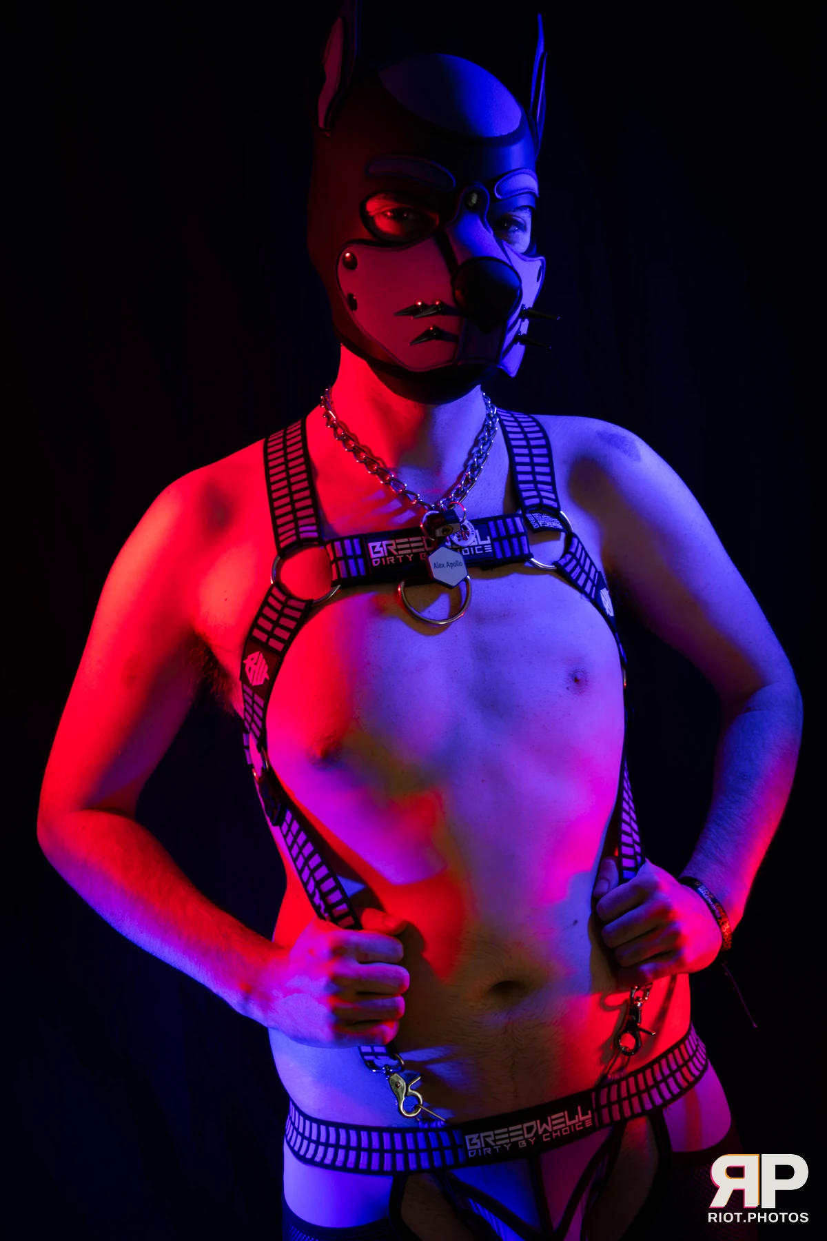 Alex Apollo — furry & pup photography by Fluffy Riot — photo 7