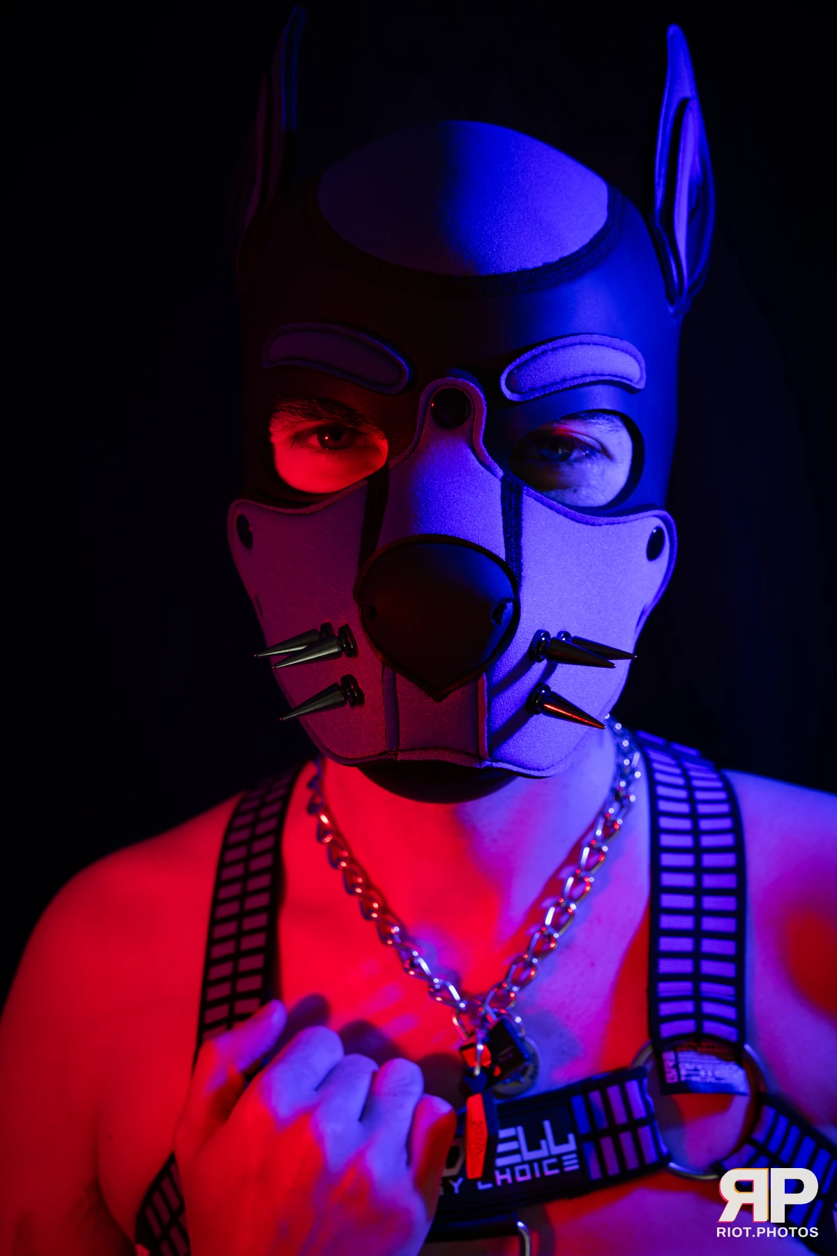 Alex Apollo — furry & pup photography by Fluffy Riot — photo 9