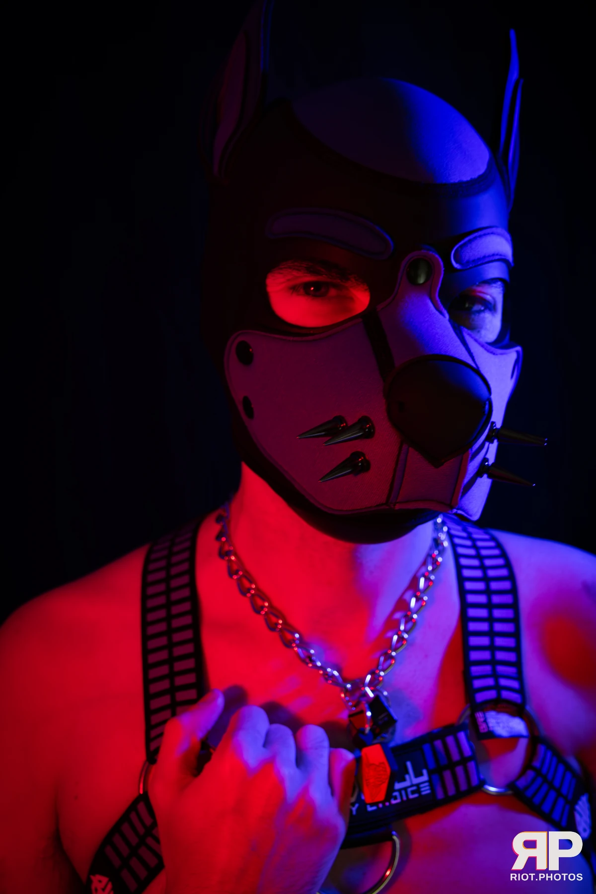 Alex Apollo — furry & pup photography by Fluffy Riot — photo 10