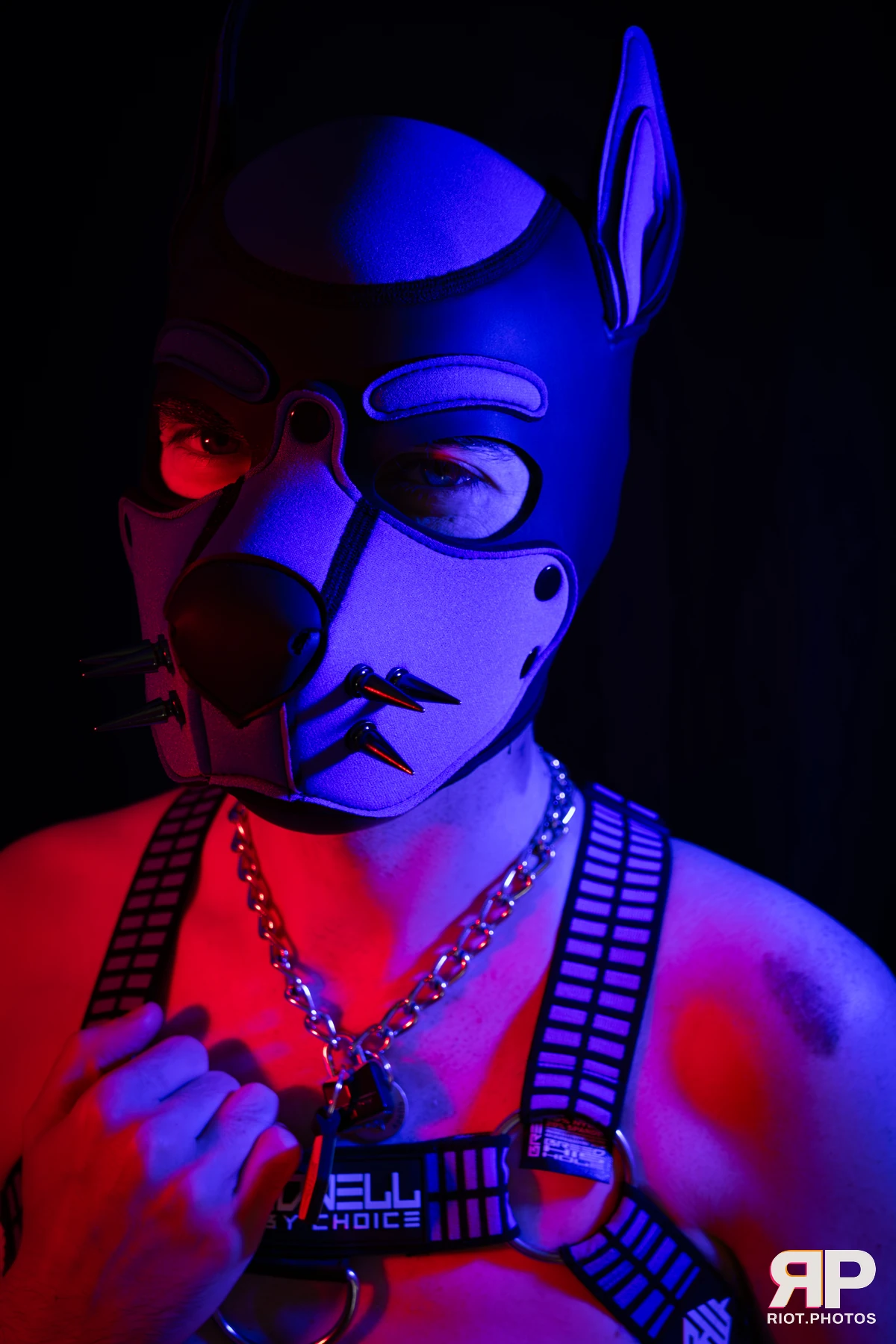 Alex Apollo — furry & pup photography by Fluffy Riot — photo 11