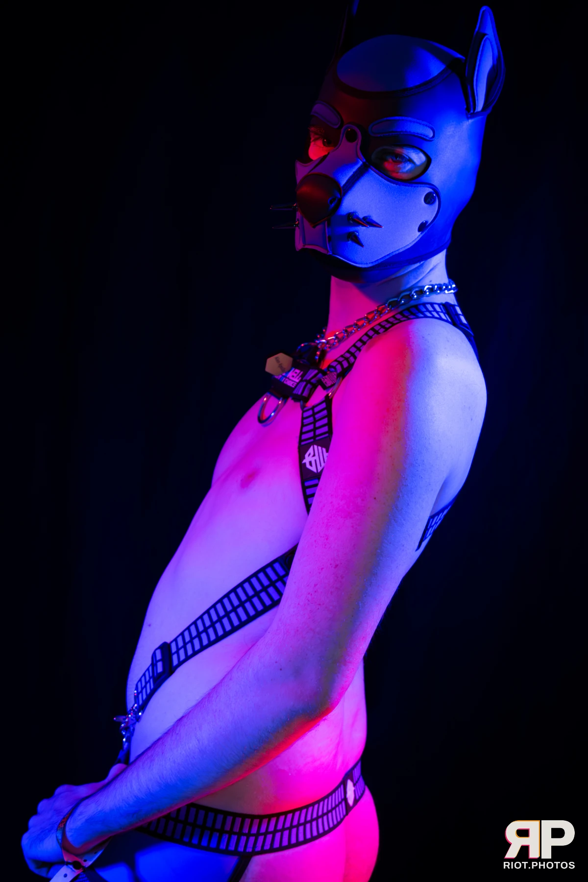 Alex Apollo — furry & pup photography by Fluffy Riot — photo 12