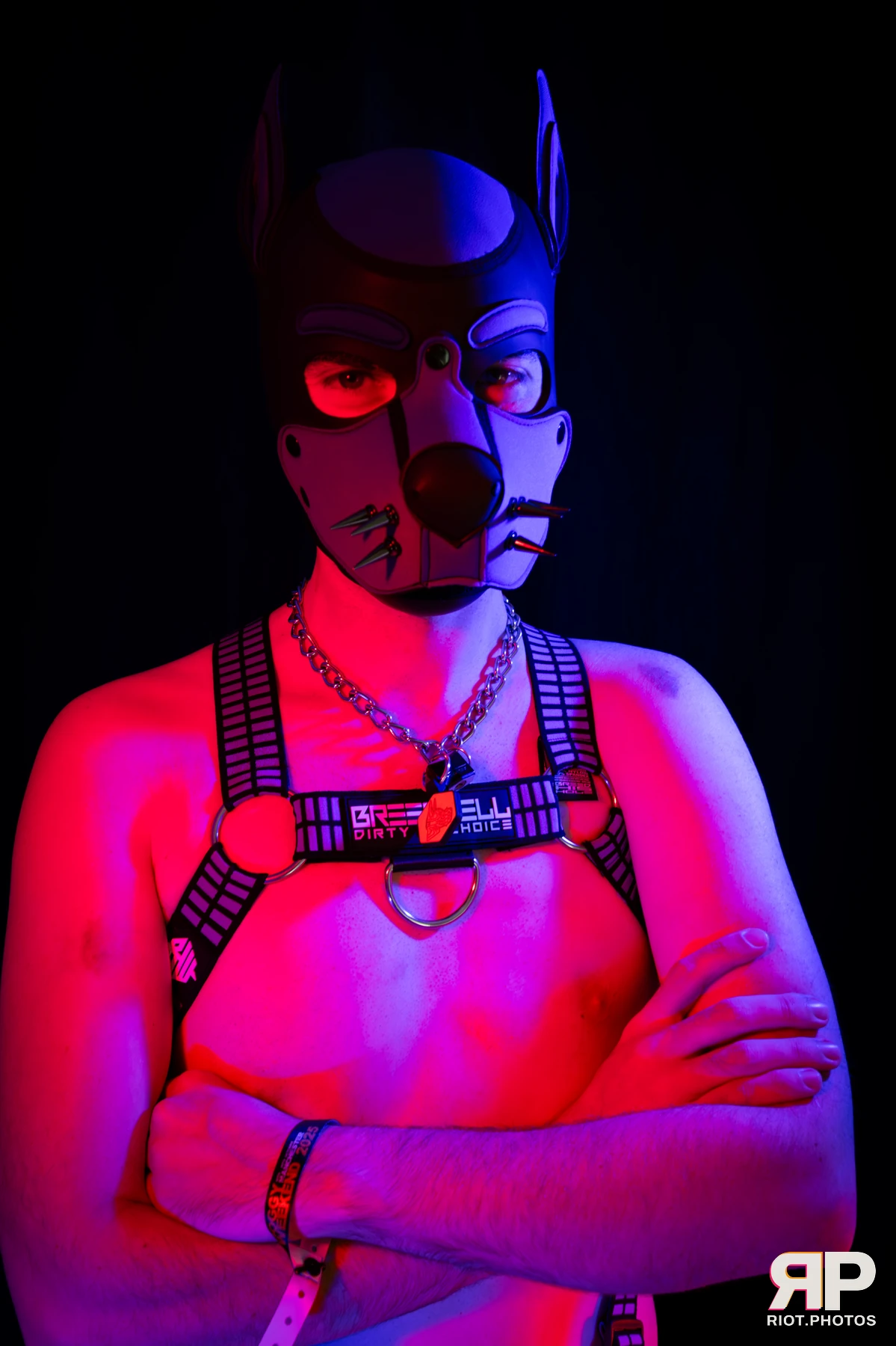 Alex Apollo — furry & pup photography by Fluffy Riot — photo 15