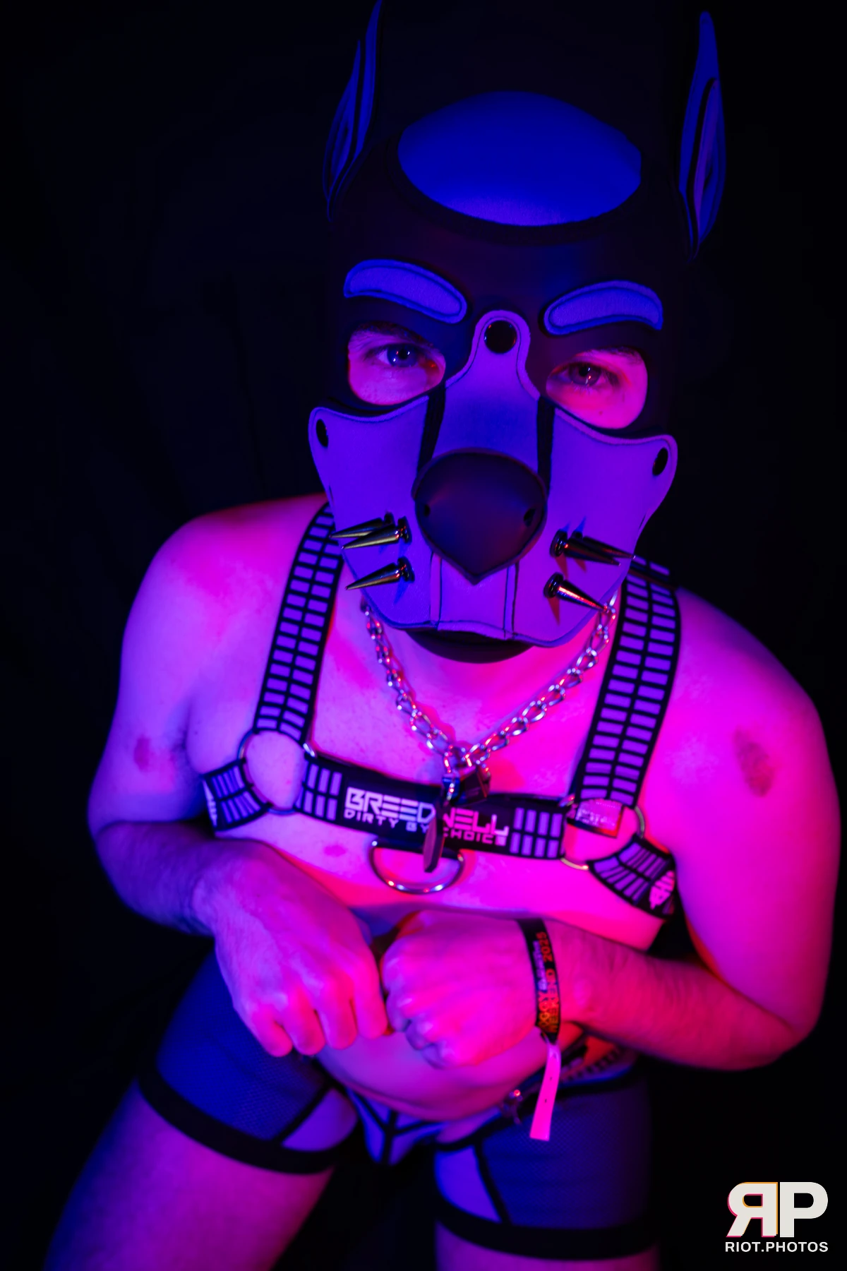 Alex Apollo — furry & pup photography by Fluffy Riot — photo 17