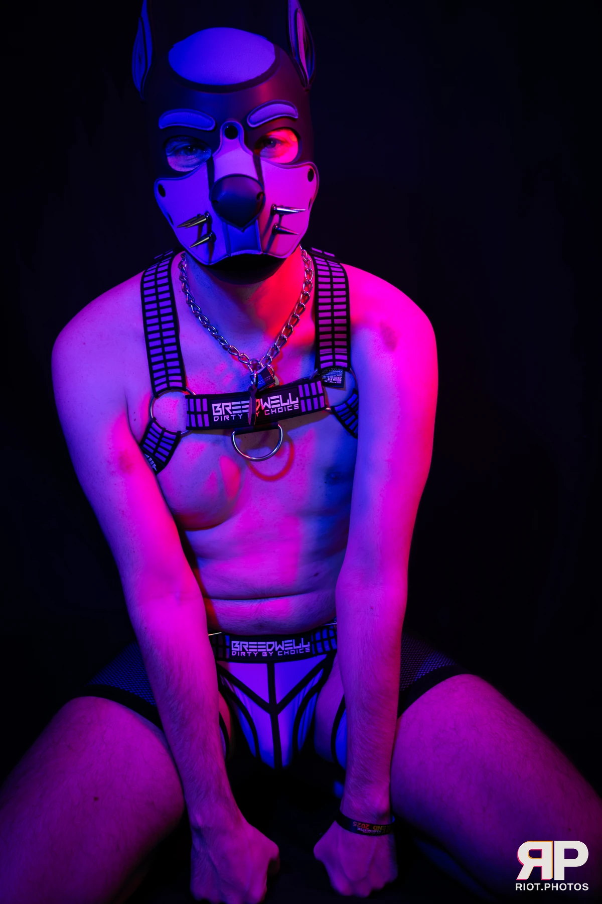 Alex Apollo — furry & pup photography by Fluffy Riot — photo 18