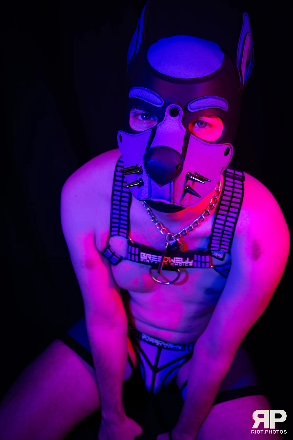 Alex Apollo — furry & pup photography by Fluffy Riot — photo 19
