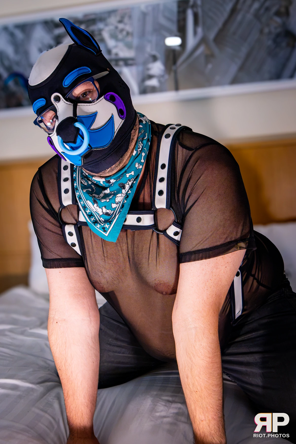 Apollo - furry & pup photography by Fluffy Riot - photo 29