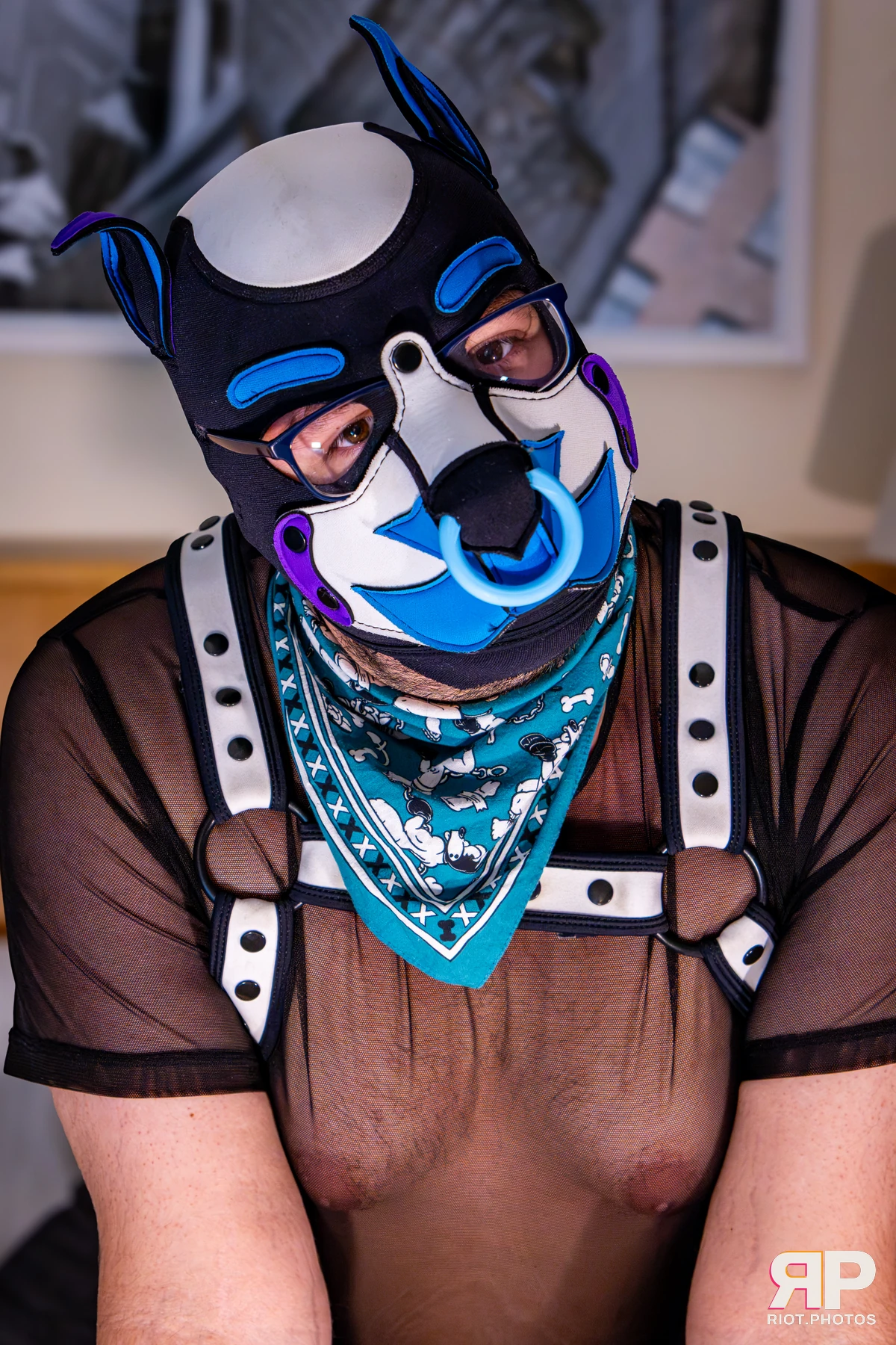 Apollo - furry & pup photography by Fluffy Riot - photo 28