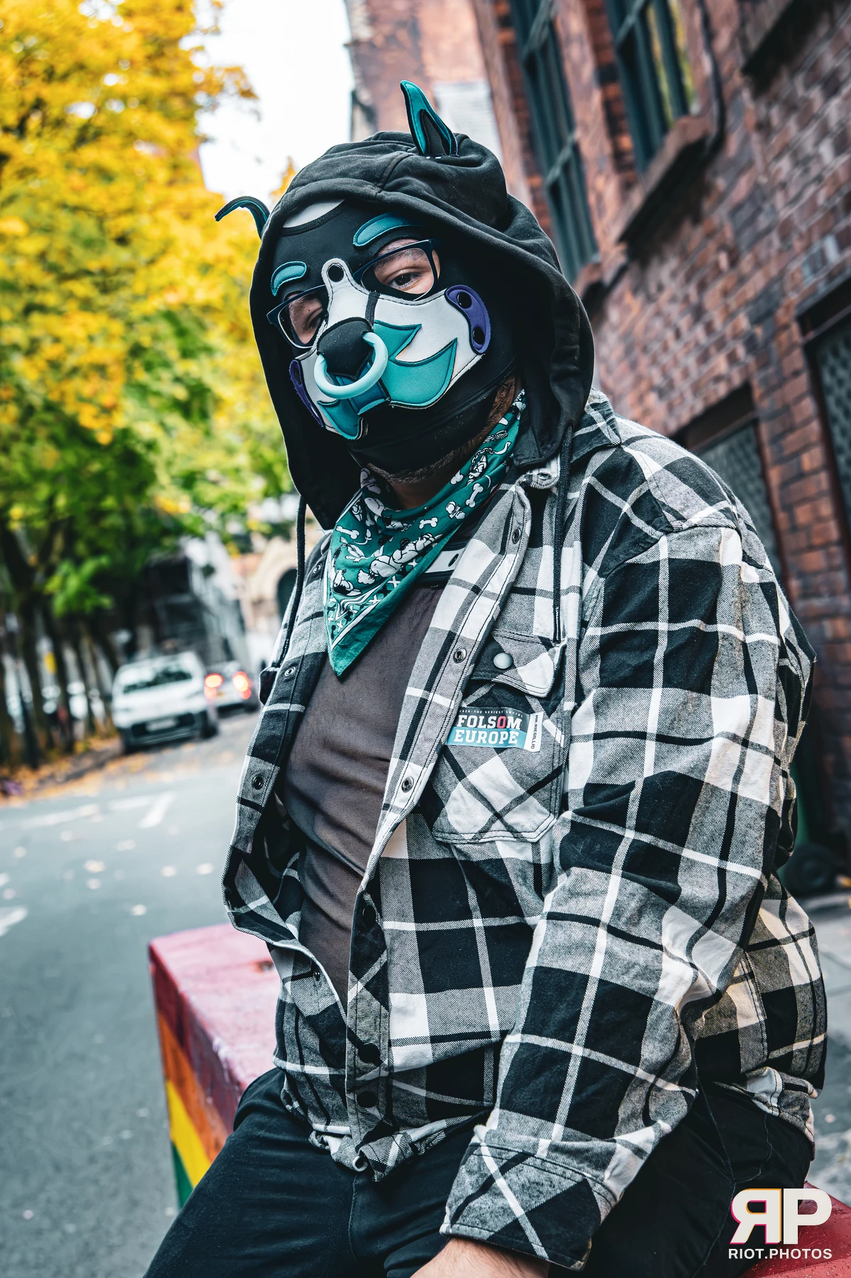 Apollo - furry & pup photography by Fluffy Riot - photo 16