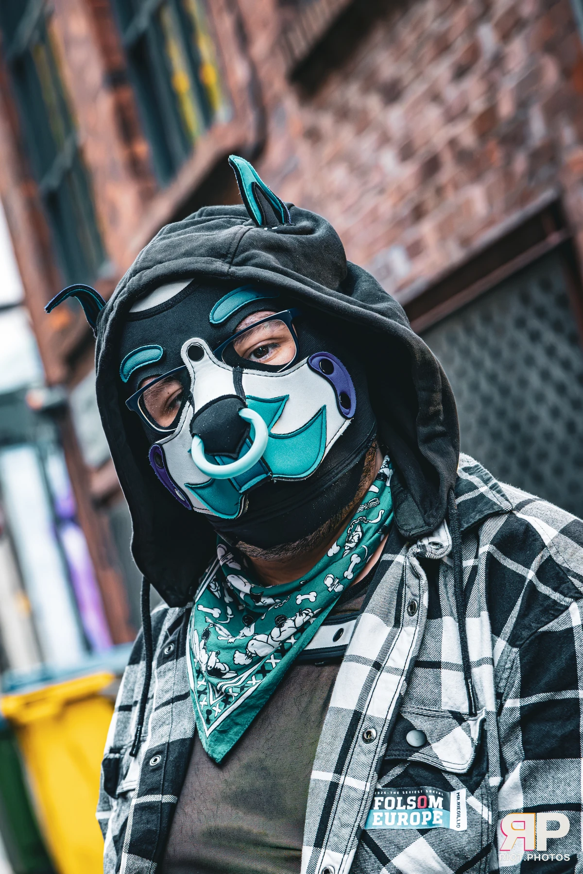 Apollo - furry & pup photography by Fluffy Riot - photo 15