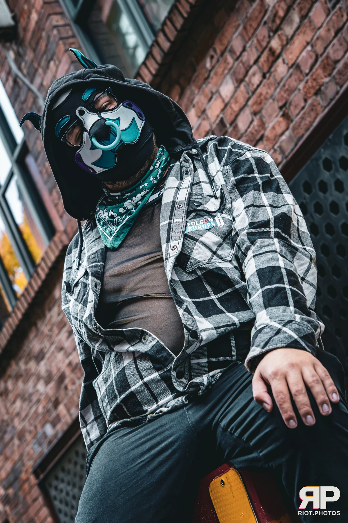 Apollo - furry & pup photography by Fluffy Riot - photo 14