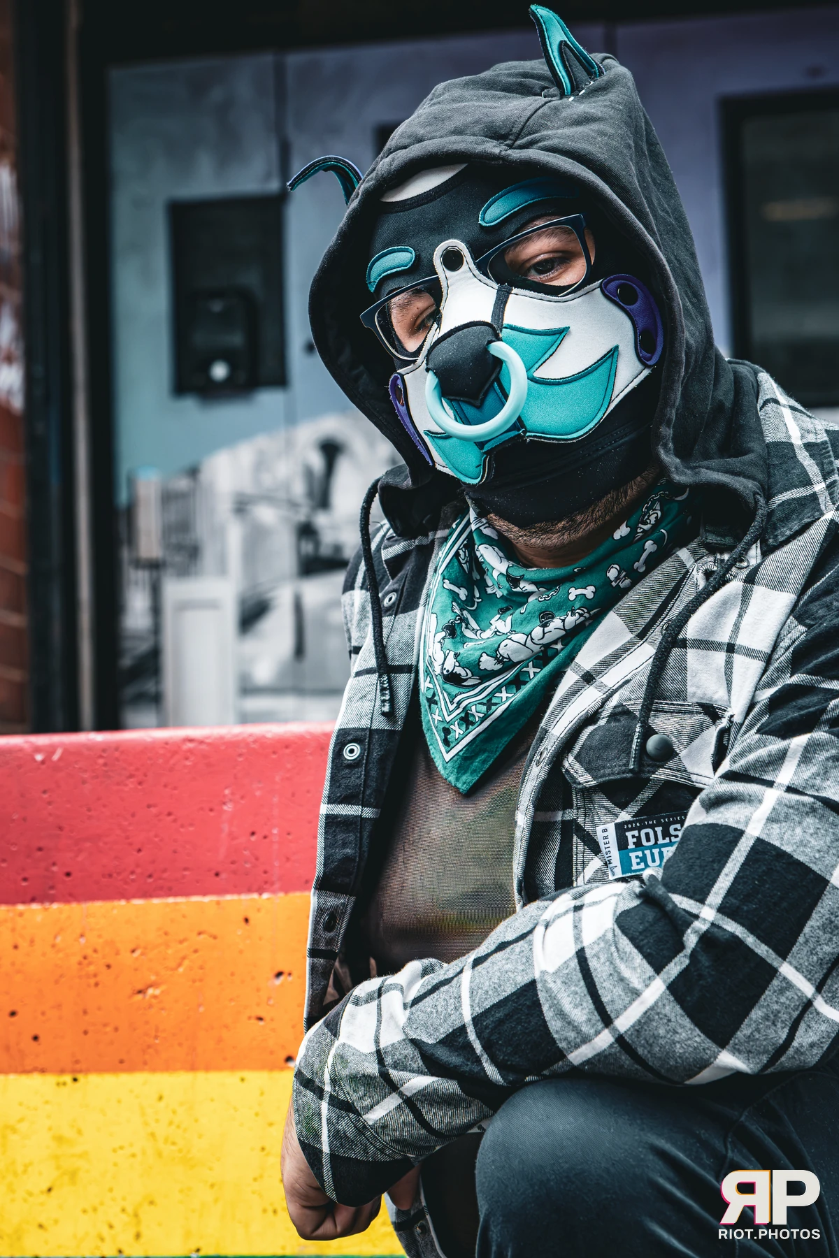 Apollo - furry & pup photography by Fluffy Riot - photo 13