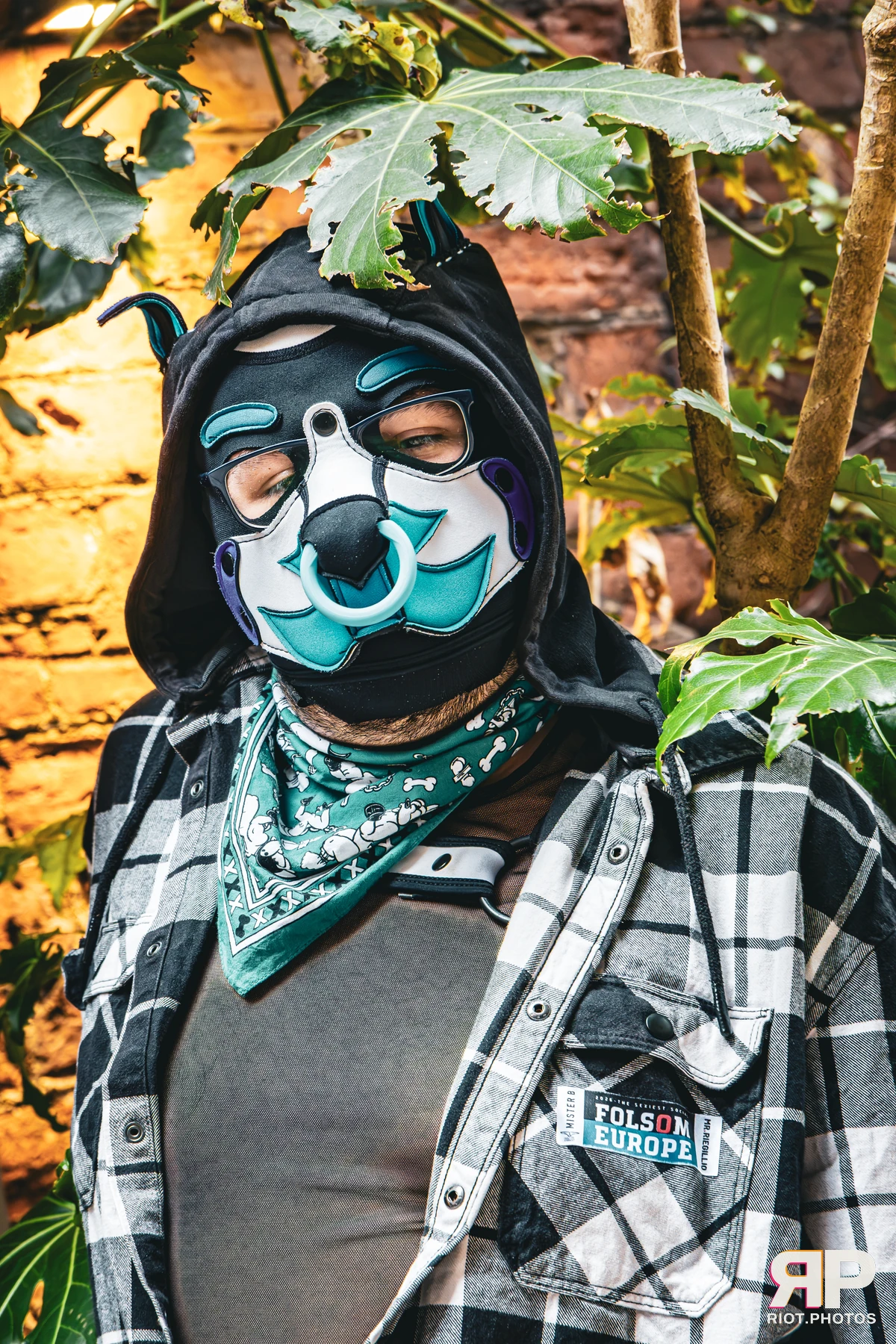 Apollo - furry & pup photography by Fluffy Riot - photo 11