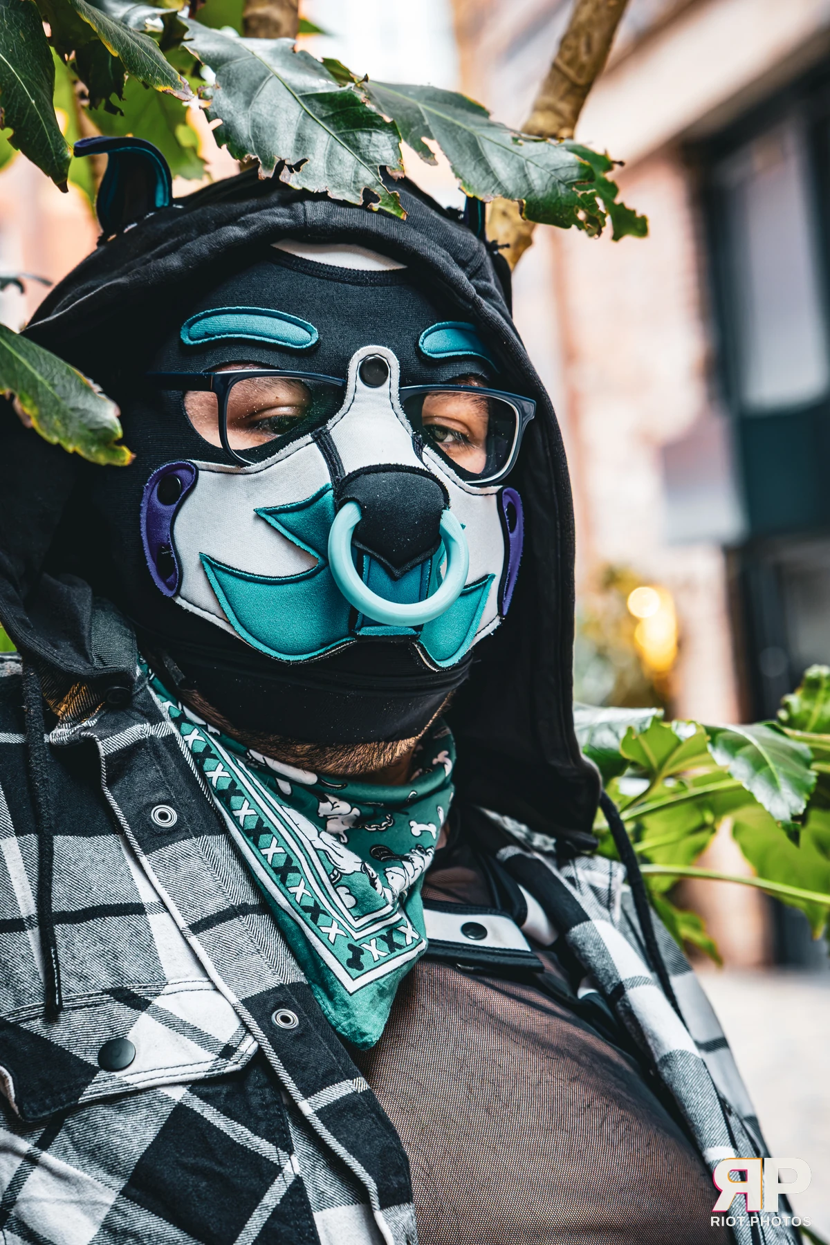 Apollo - furry & pup photography by Fluffy Riot - photo 10