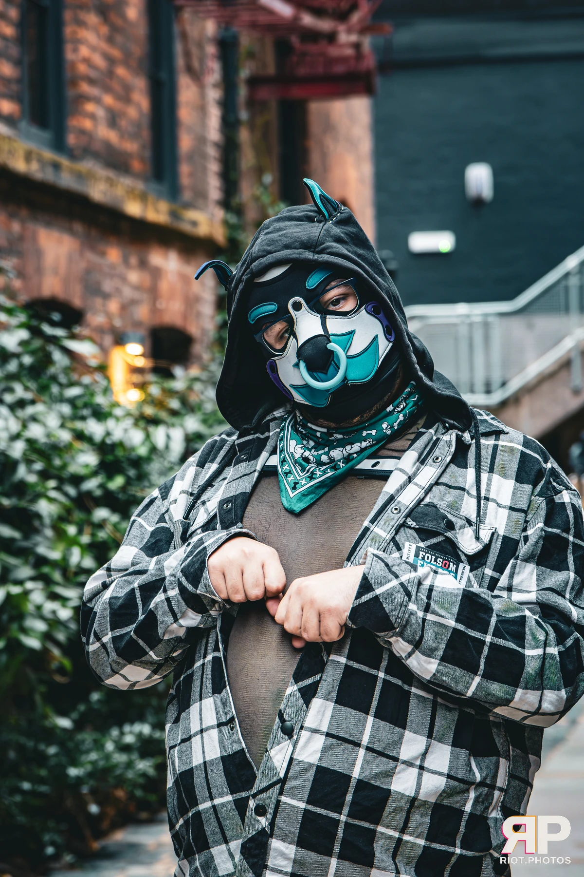 Apollo - furry & pup photography by Fluffy Riot - photo 9