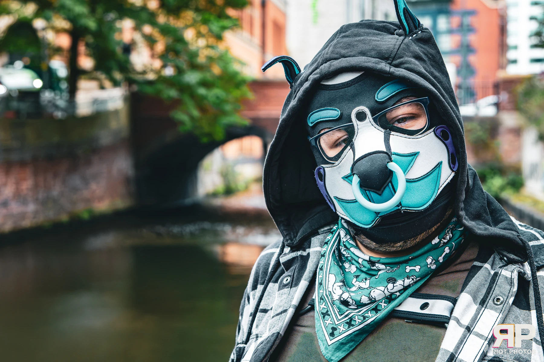 Apollo - furry & pup photography by Fluffy Riot - photo 7